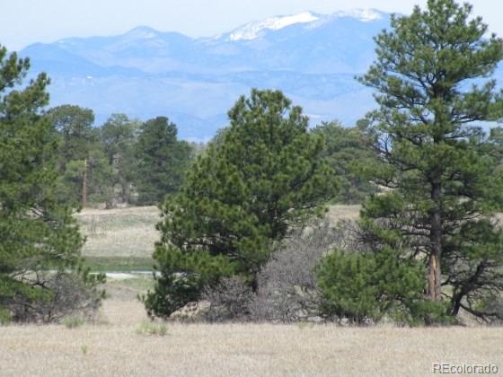 0 Betts Ranch Road, Parker, CO 80134, ,Land,For Sale,Betts Ranch,REC6216352