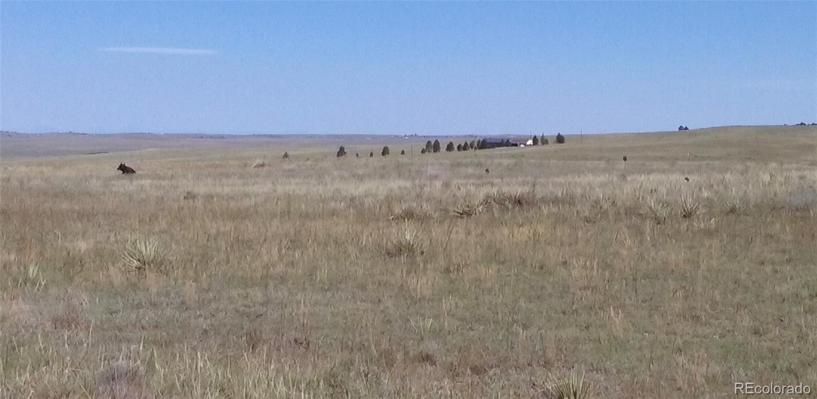 12115 St Hwy 86 Highway, Kiowa, CO 80117, ,Land,For Sale,St Hwy 86,REC9113115