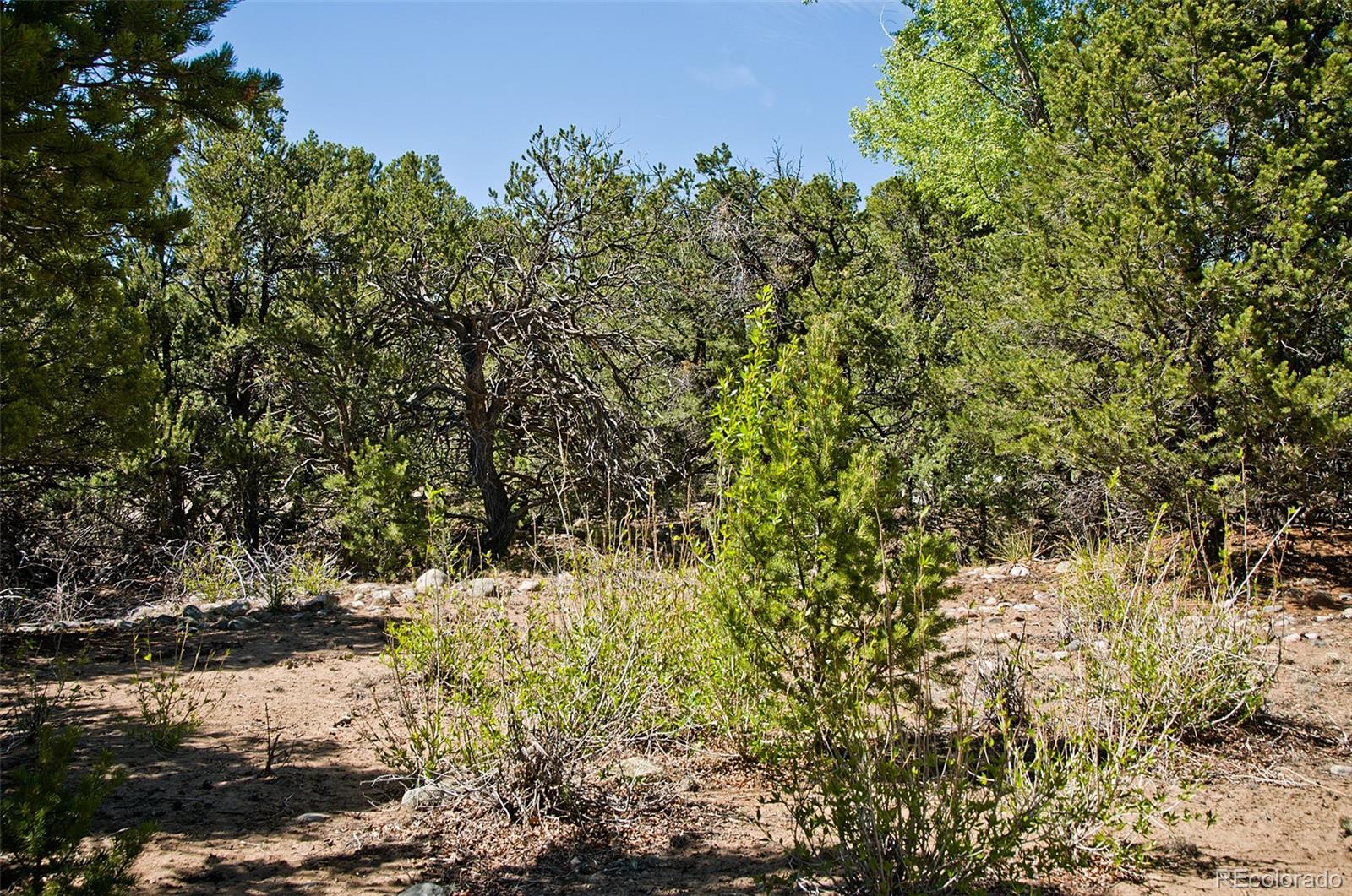 3809 Virtue Court, Crestone, CO 81131, ,Land,For Sale,Virtue,REC5455009