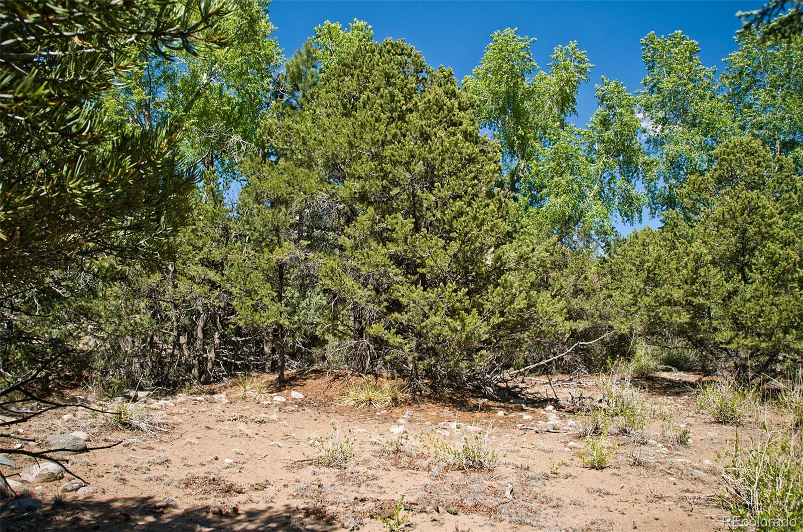 3809 Virtue Court, Crestone, CO 81131, ,Land,For Sale,Virtue,REC5455009
