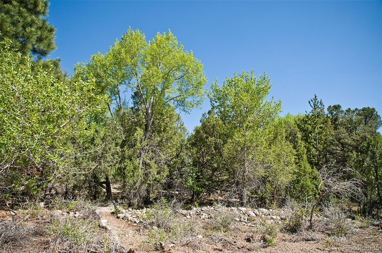 3809 Virtue Court, Crestone, CO 81131, ,Land,For Sale,Virtue,REC5455009