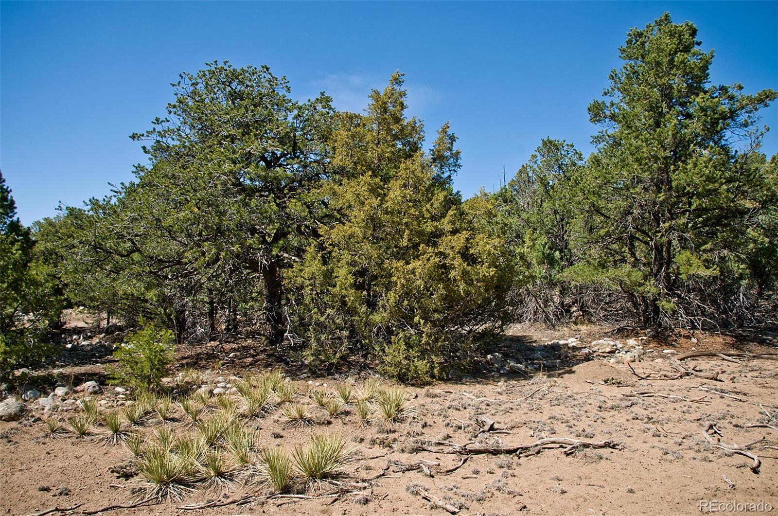3809 Virtue Court, Crestone, CO 81131, ,Land,For Sale,Virtue,REC5455009