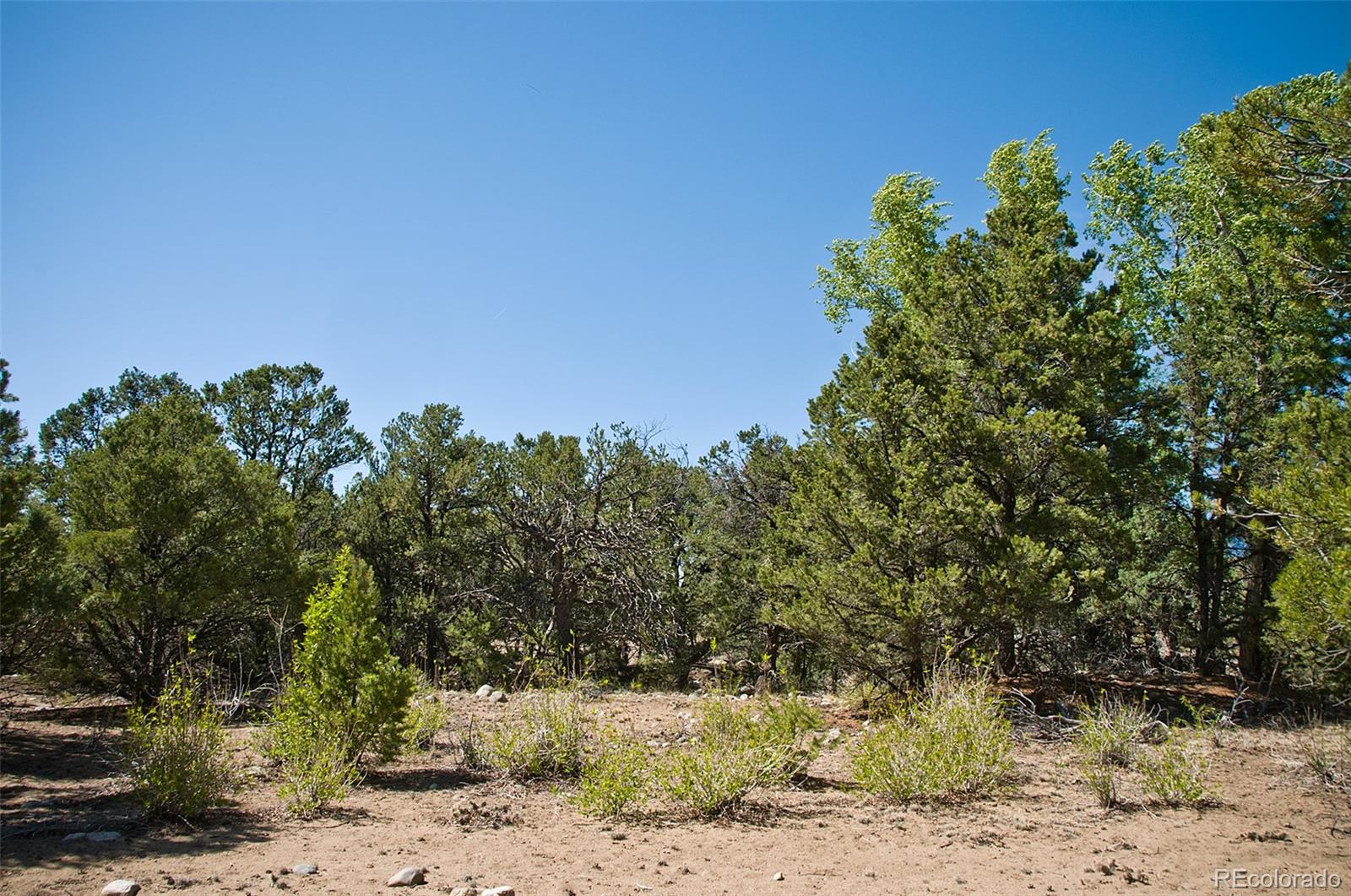3809 Virtue Court, Crestone, CO 81131, ,Land,For Sale,Virtue,REC5455009