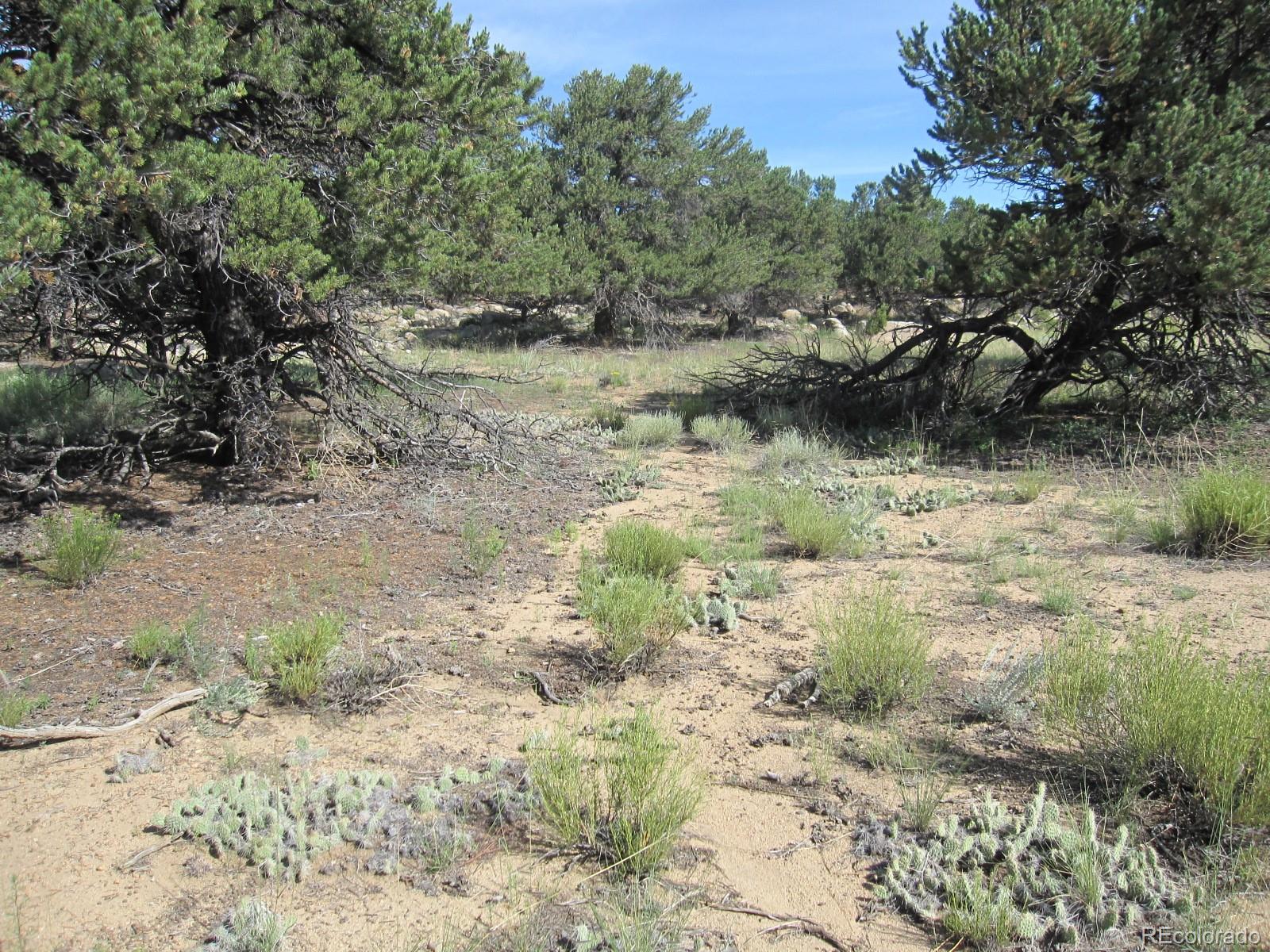 30025 Teal Run, Buena Vista, CO 81211, ,Land,For Sale,Teal,REC1761086
