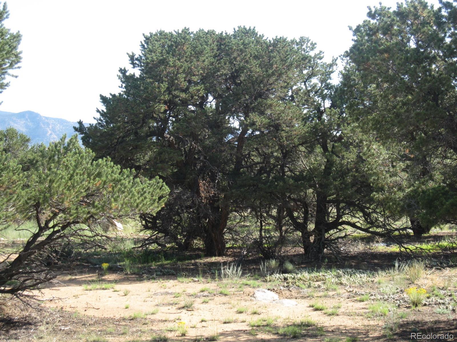 30025 Teal Run, Buena Vista, CO 81211, ,Land,For Sale,Teal,REC1761086