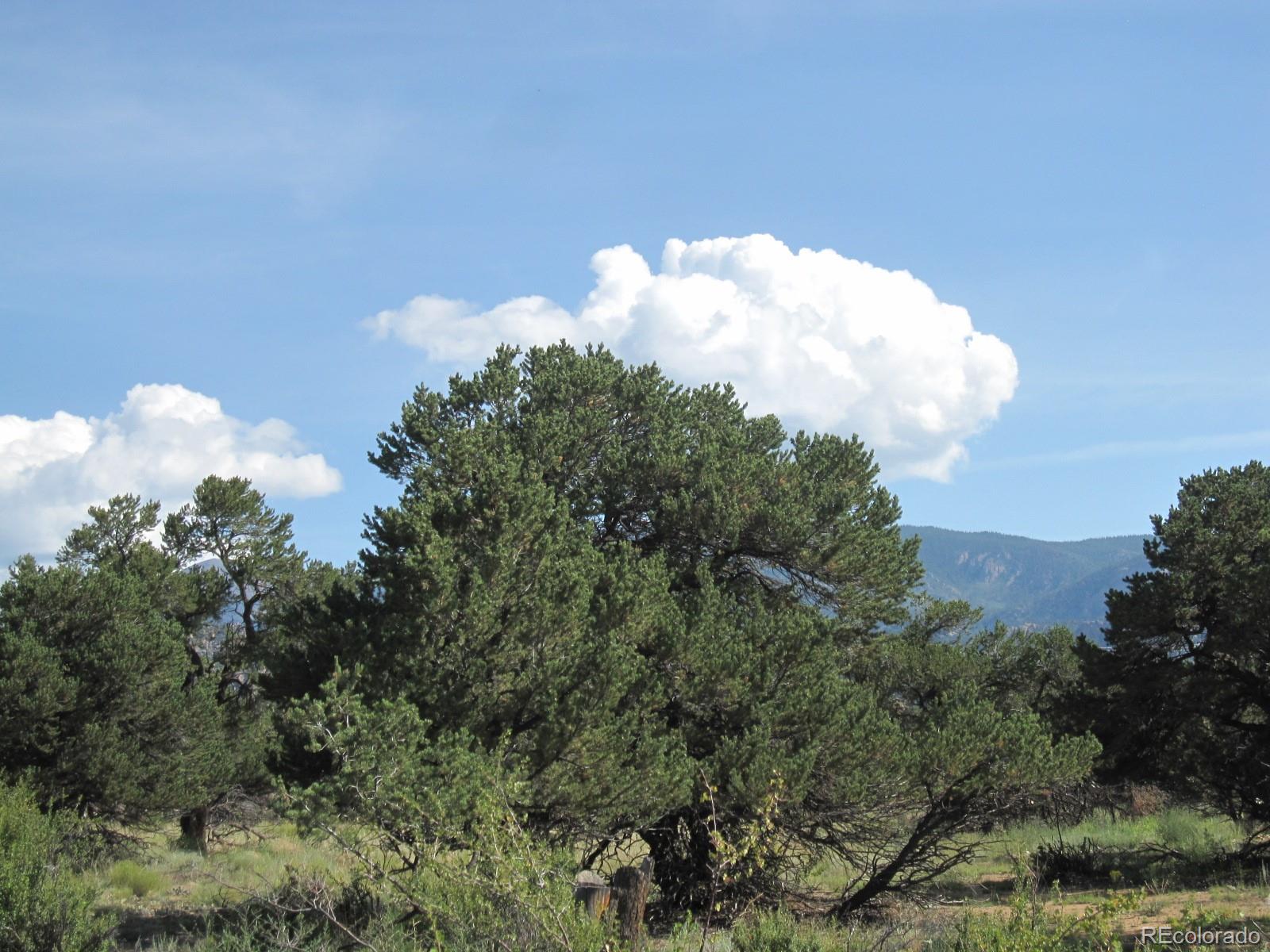 30025 Teal Run, Buena Vista, CO 81211, ,Land,For Sale,Teal,REC1761086