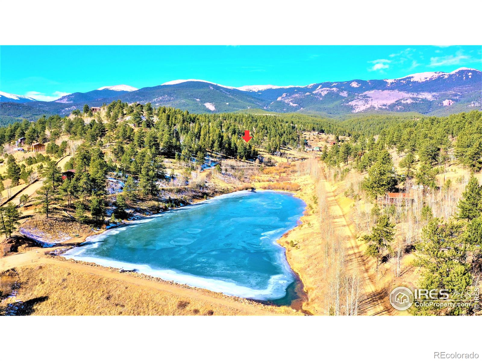 267 Ward Street, Bailey, CO 80421, ,Land,For Sale,Ward,RECIR981120