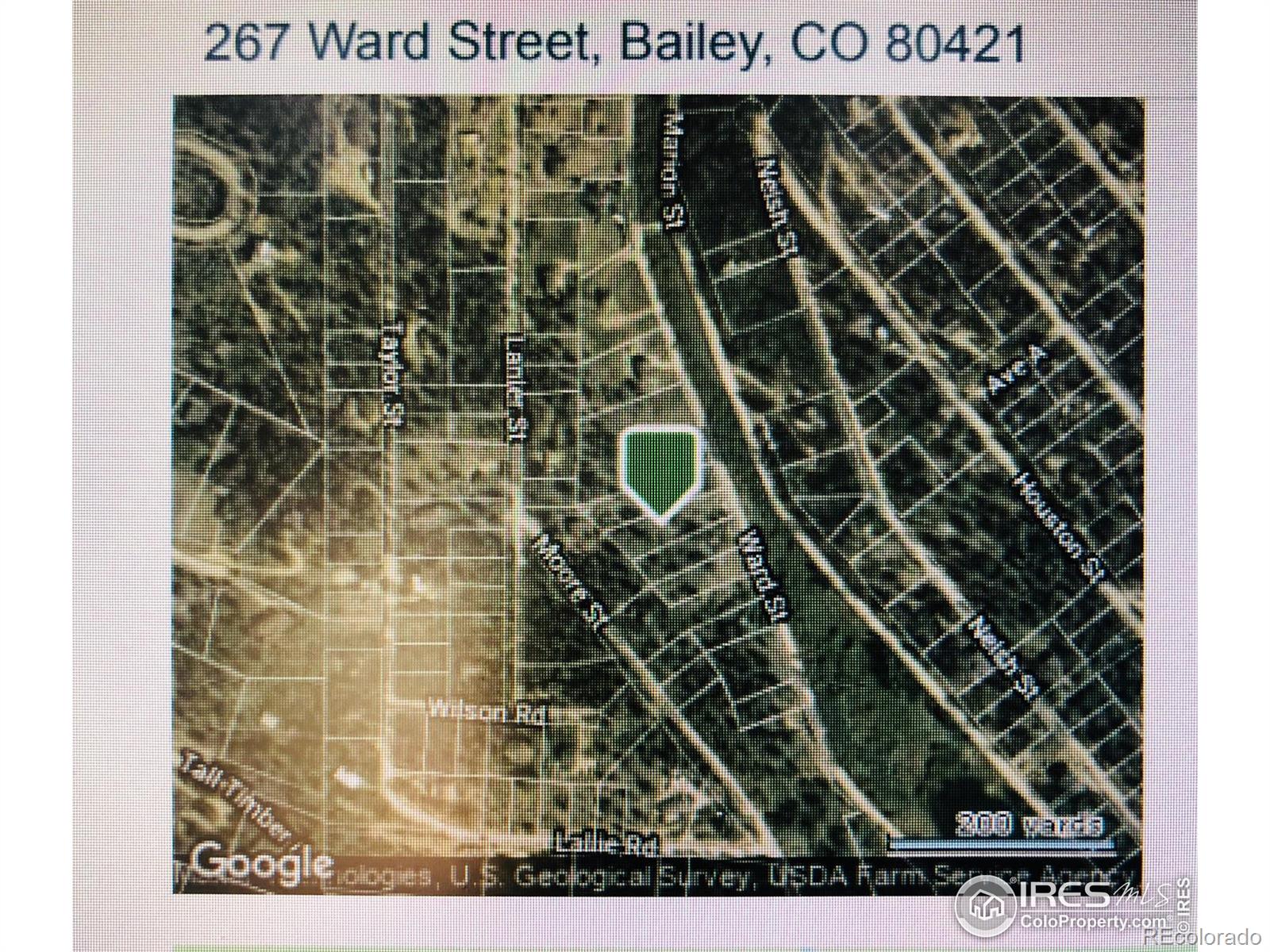 267 Ward Street, Bailey, CO 80421, ,Land,For Sale,Ward,RECIR981120