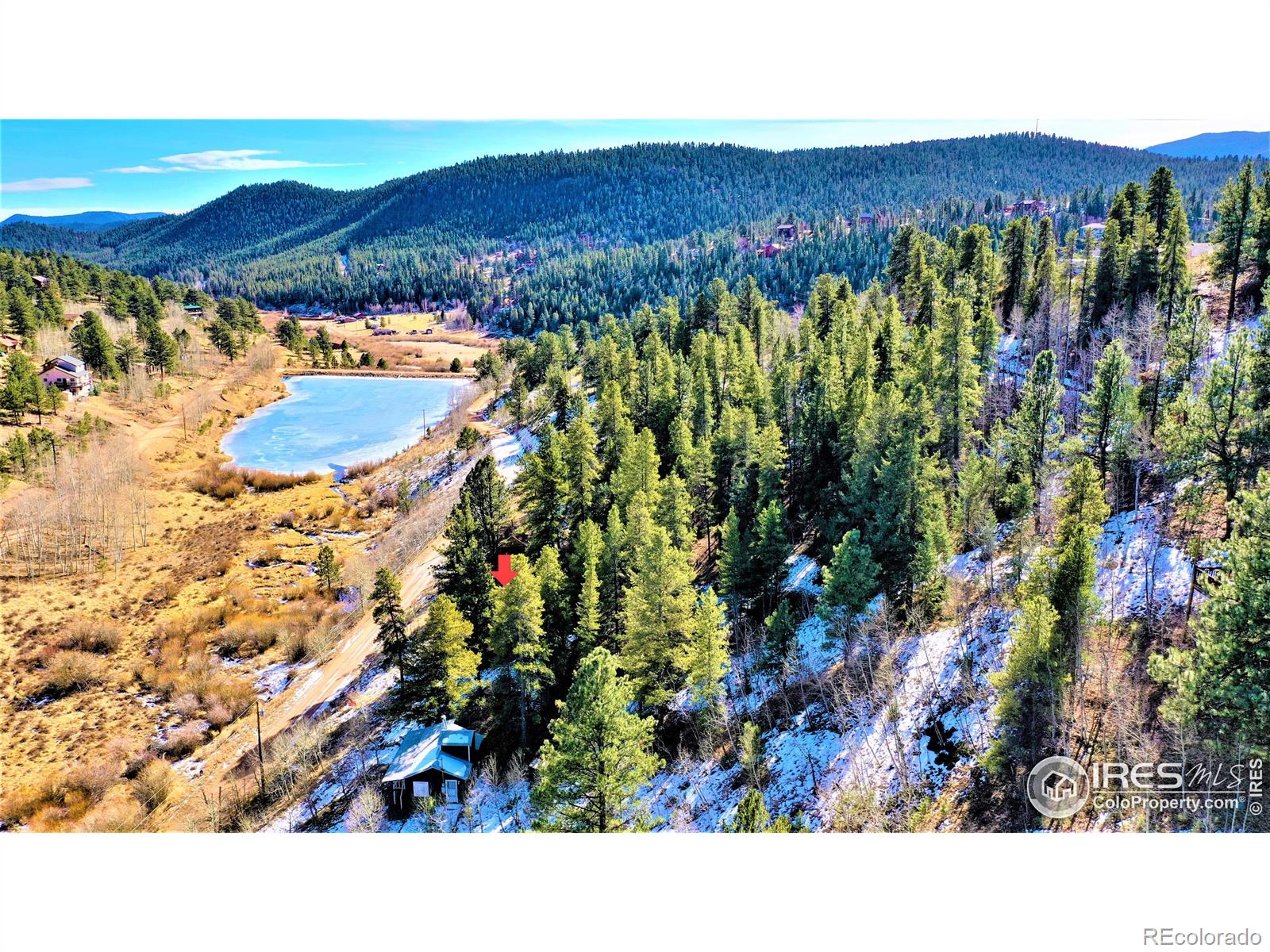 267 Ward Street, Bailey, CO 80421, ,Land,For Sale,Ward,RECIR981120