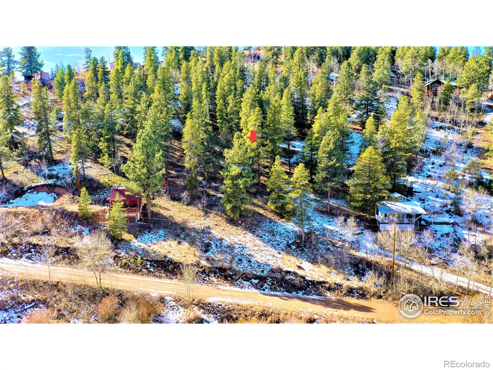 267 Ward Street, Bailey, CO 80421, ,Land,For Sale,Ward,RECIR981120