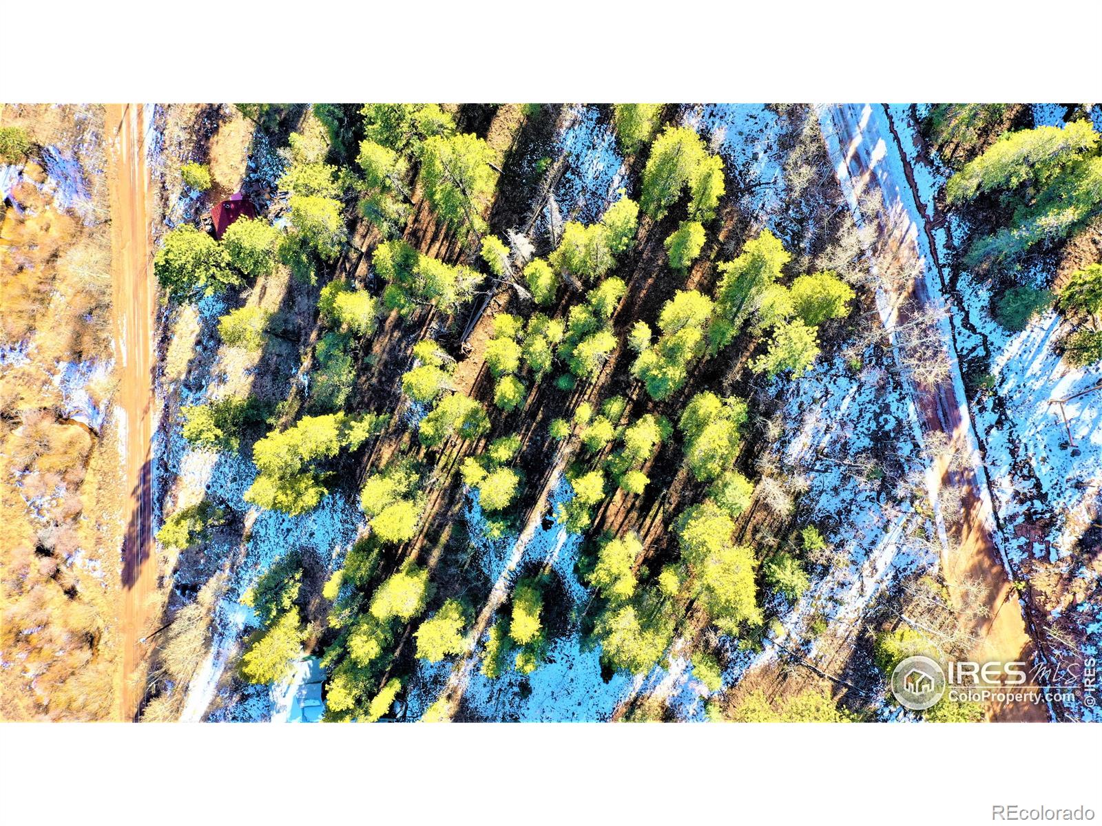 267 Ward Street, Bailey, CO 80421, ,Land,For Sale,Ward,RECIR981120