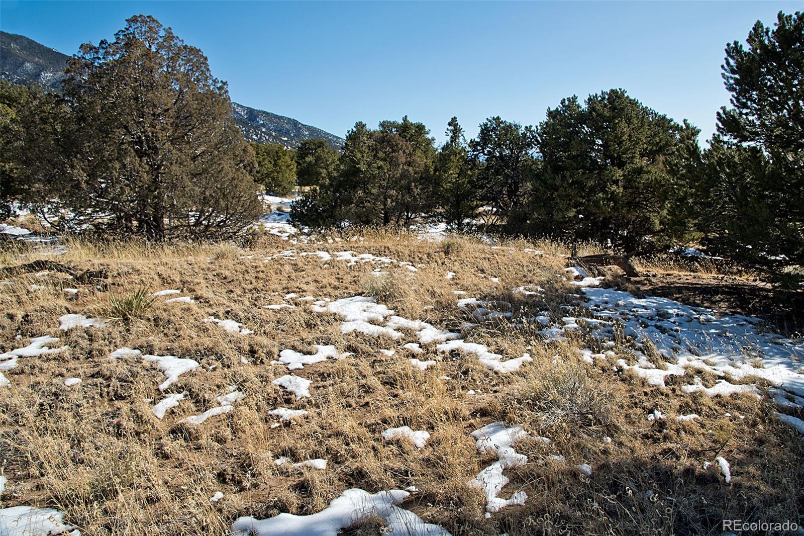 Naropa Tract, Crestone, CO 81131, ,Land,For Sale,Naropa Tract,REC8281484