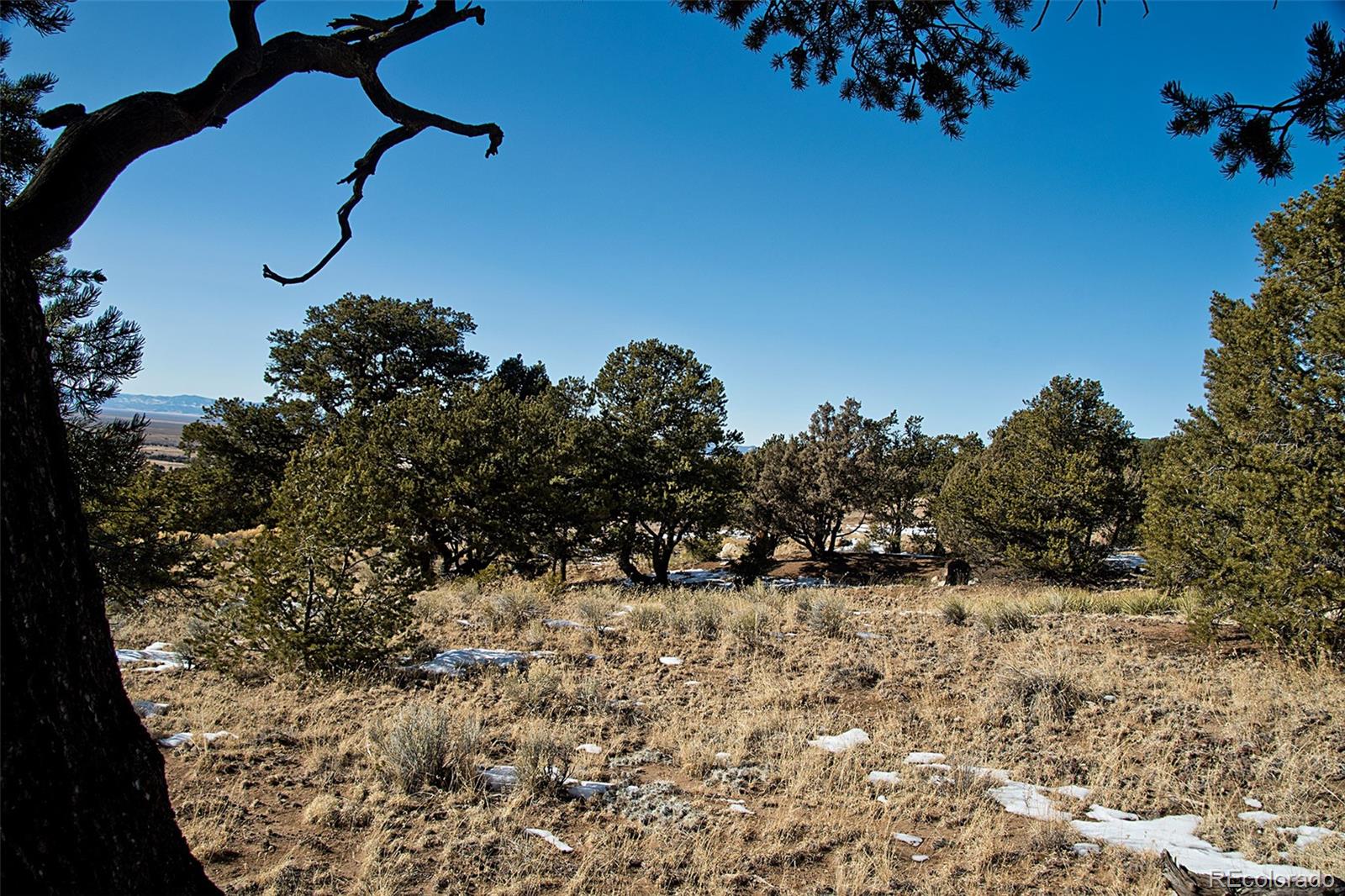 Naropa Tract, Crestone, CO 81131, ,Land,For Sale,Naropa Tract,REC8281484