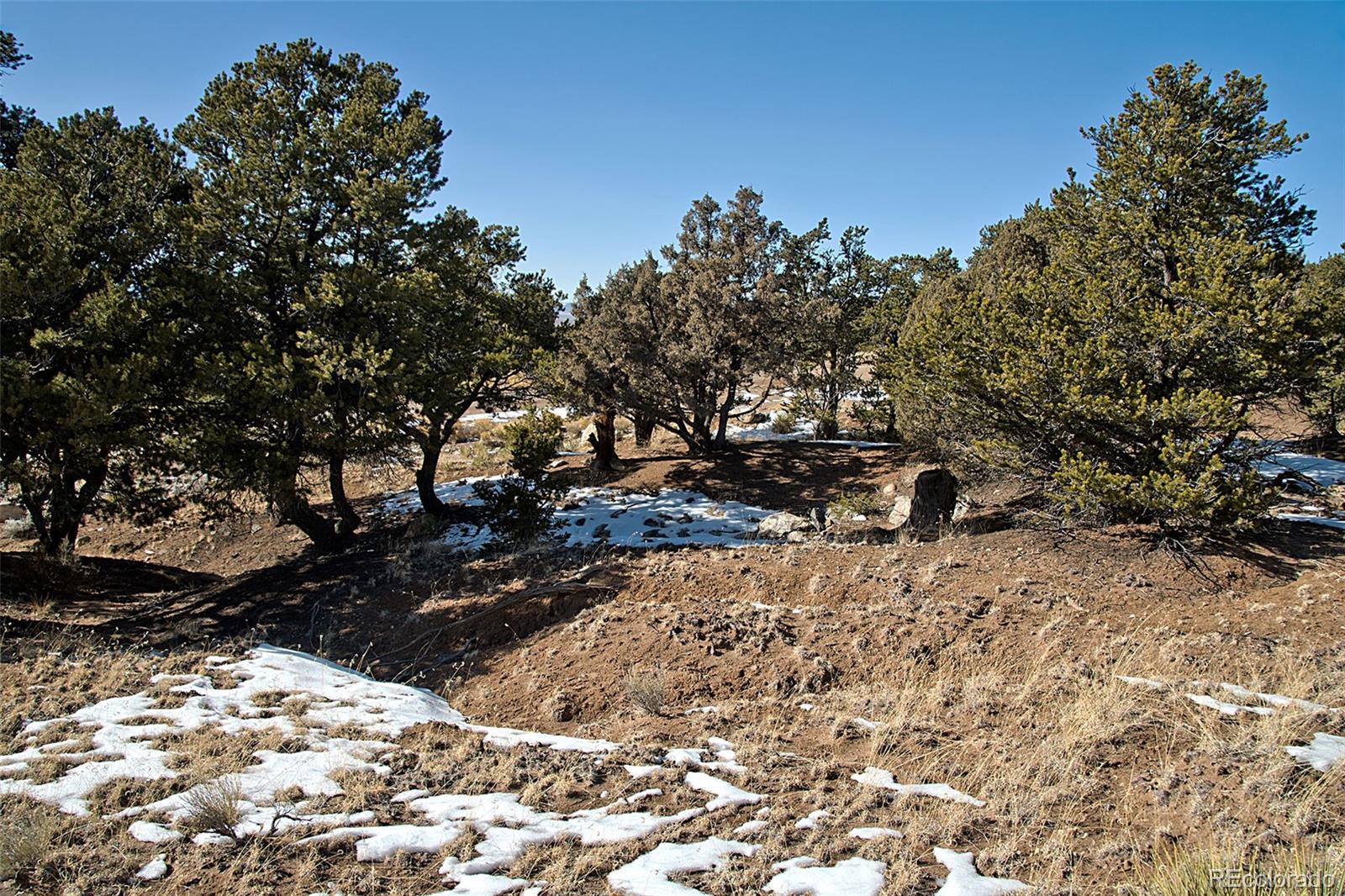 Naropa Tract, Crestone, CO 81131, ,Land,For Sale,Naropa Tract,REC8281484