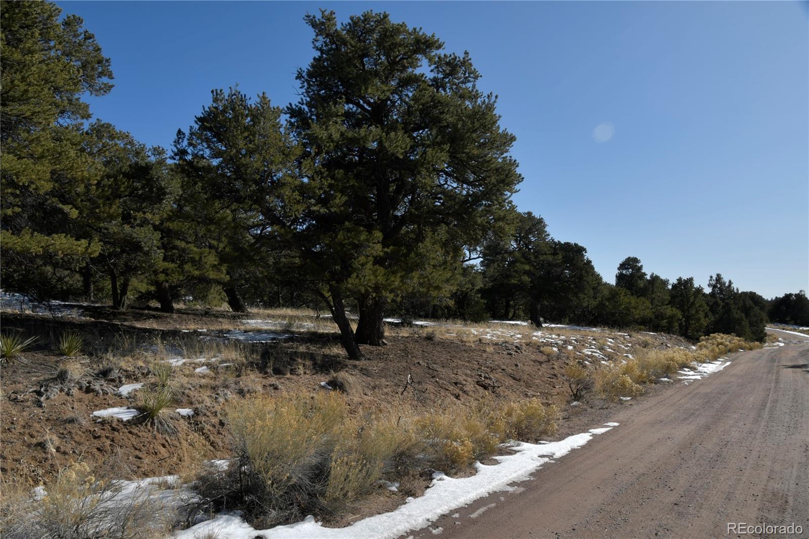Naropa Tract, Crestone, CO 81131, ,Land,For Sale,Naropa Tract,REC8281484