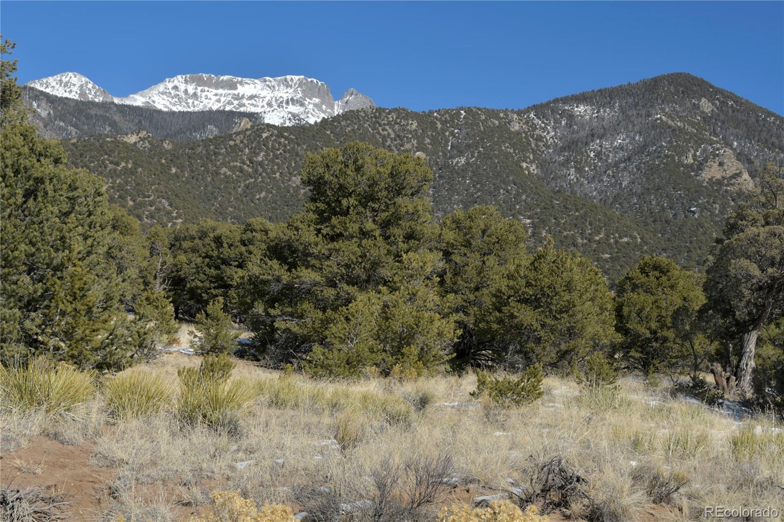 Naropa Tract, Crestone, CO 81131, ,Land,For Sale,Naropa Tract,REC8281484