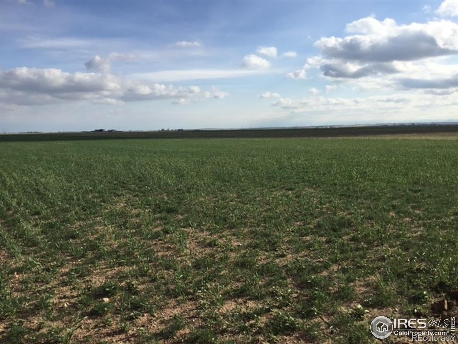 0 County Road 98, Nunn, CO 80648, ,Land,For Sale,County Road 98,RECIR964370