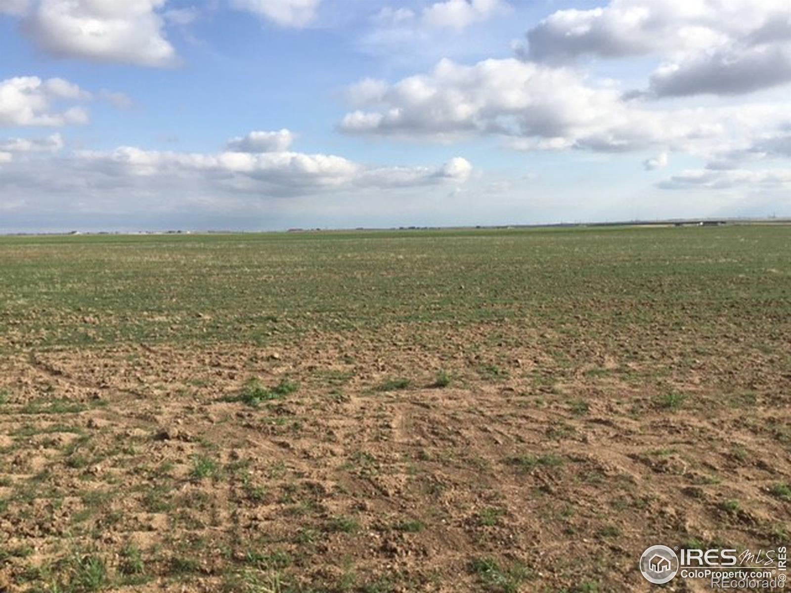 0 County Road 98, Nunn, CO 80648, ,Land,For Sale,County Road 98,RECIR964370