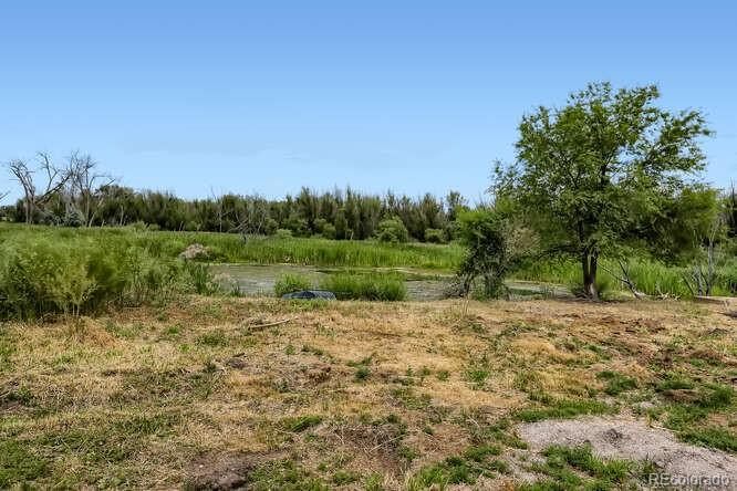 9774 Moore Road, Littleton, CO 80125, ,Commercial,For Sale,Moore,REC6462456