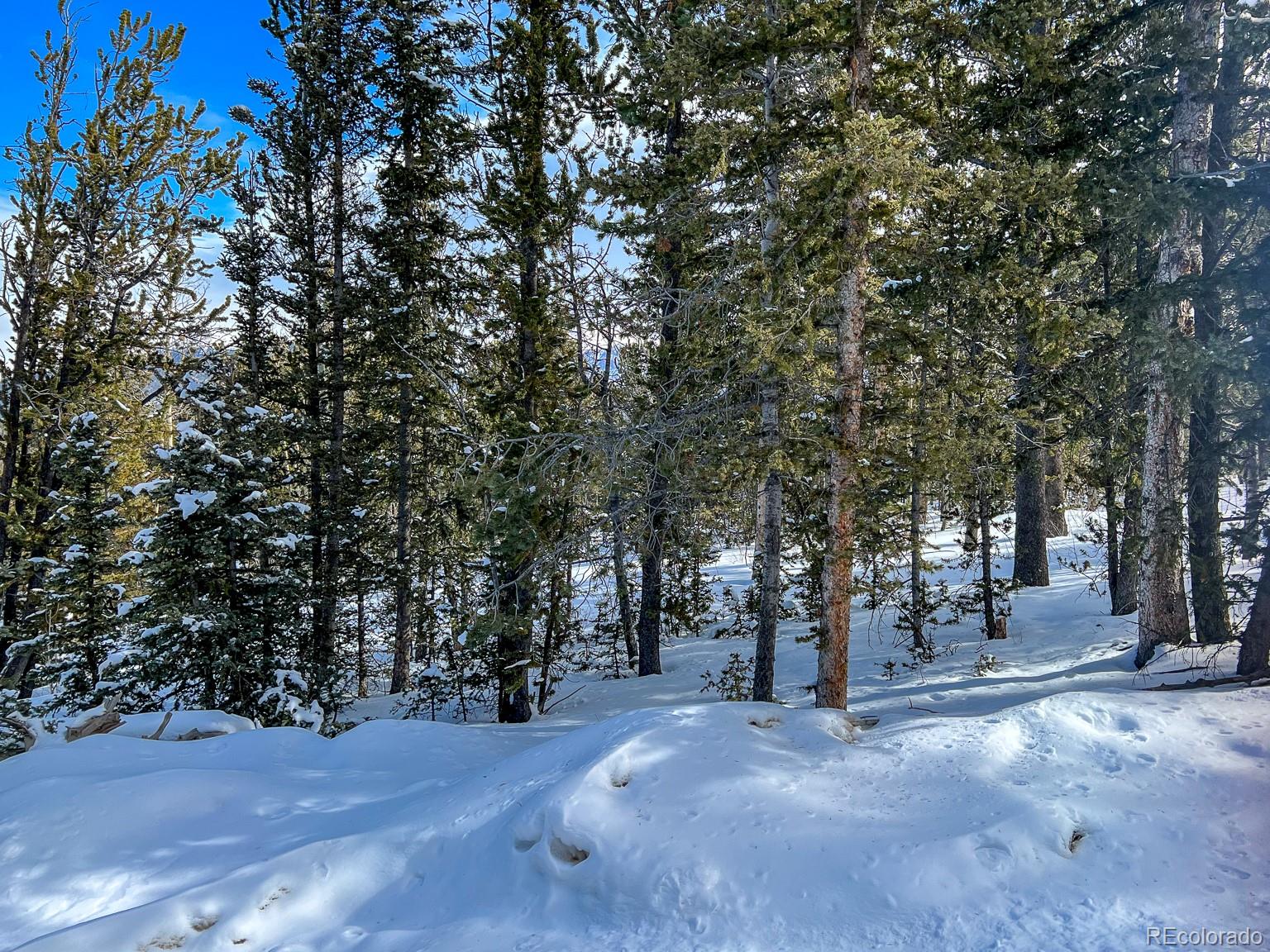 R0029767, Cripple Creek, CO 80813, ,Land,For Sale,R0029767,REC7609809