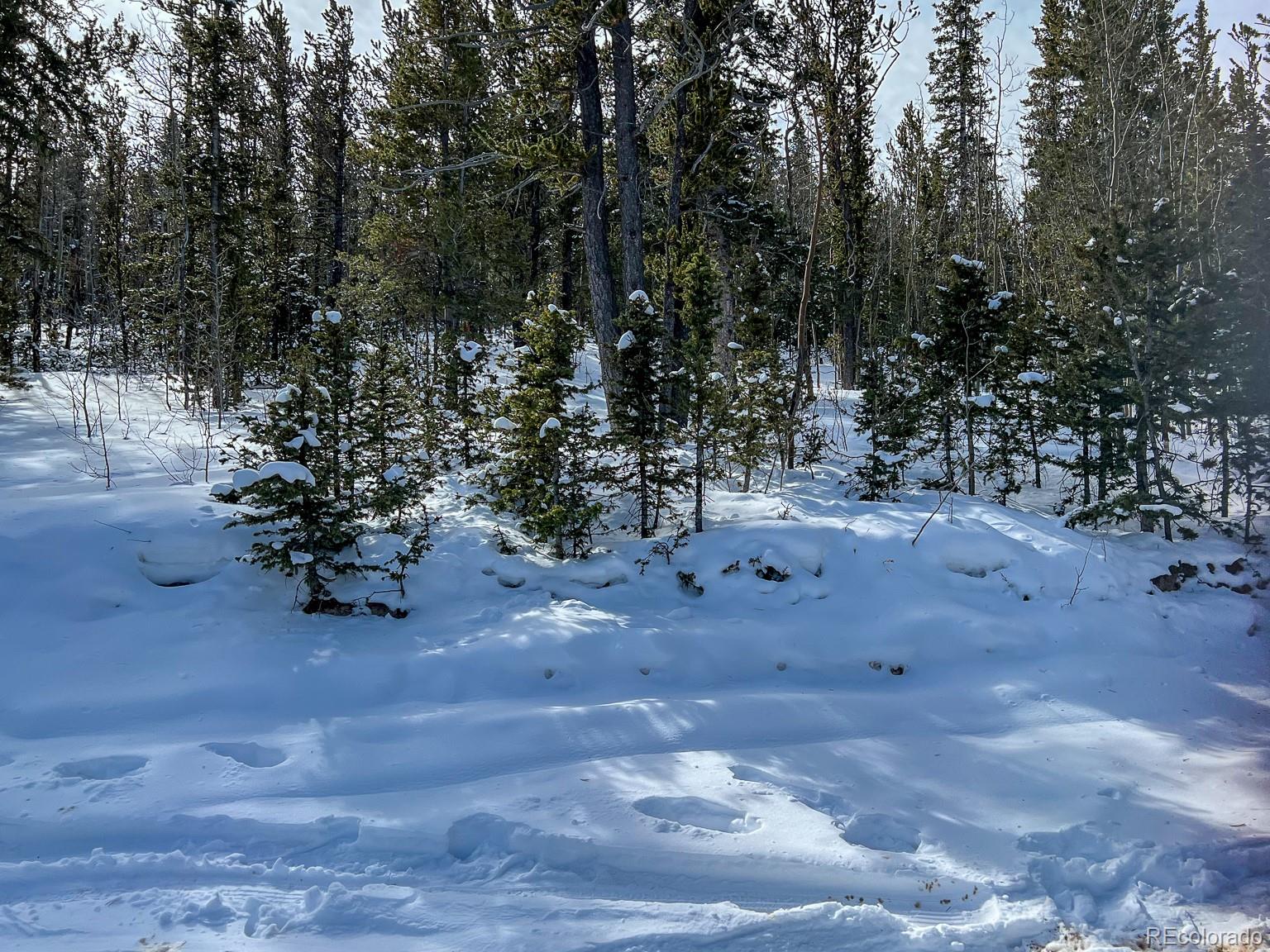 R0029767, Cripple Creek, CO 80813, ,Land,For Sale,R0029767,REC7609809