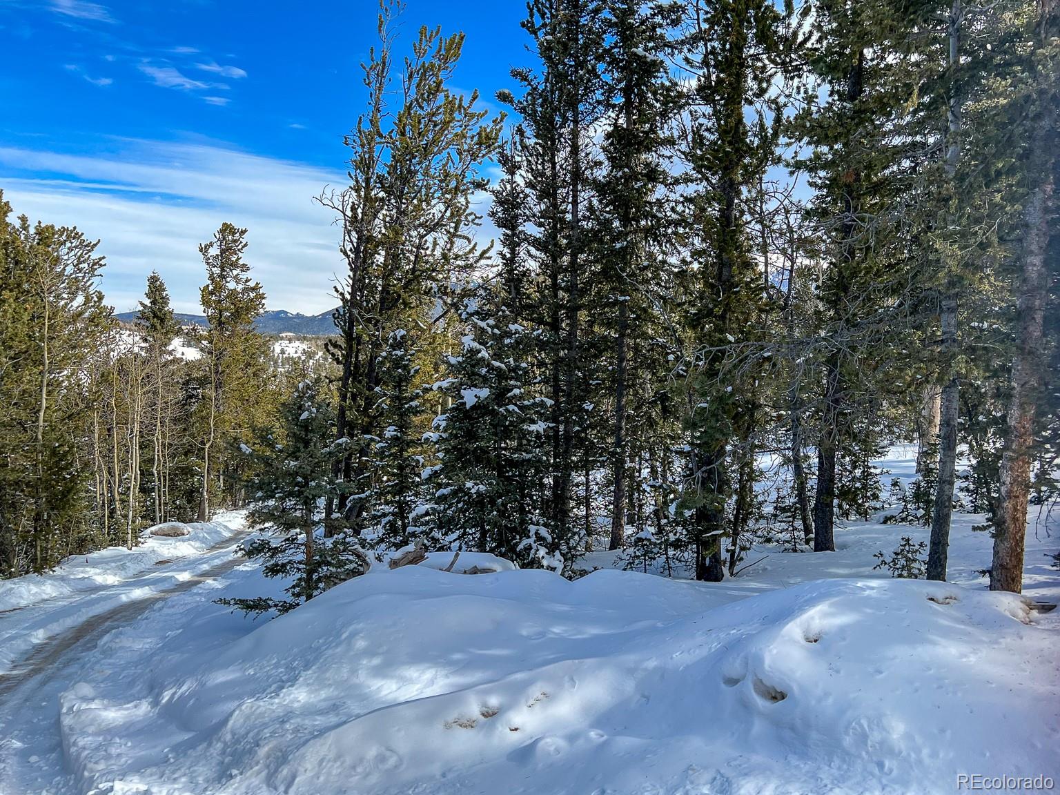 R0029767, Cripple Creek, CO 80813, ,Land,For Sale,R0029767,REC7609809