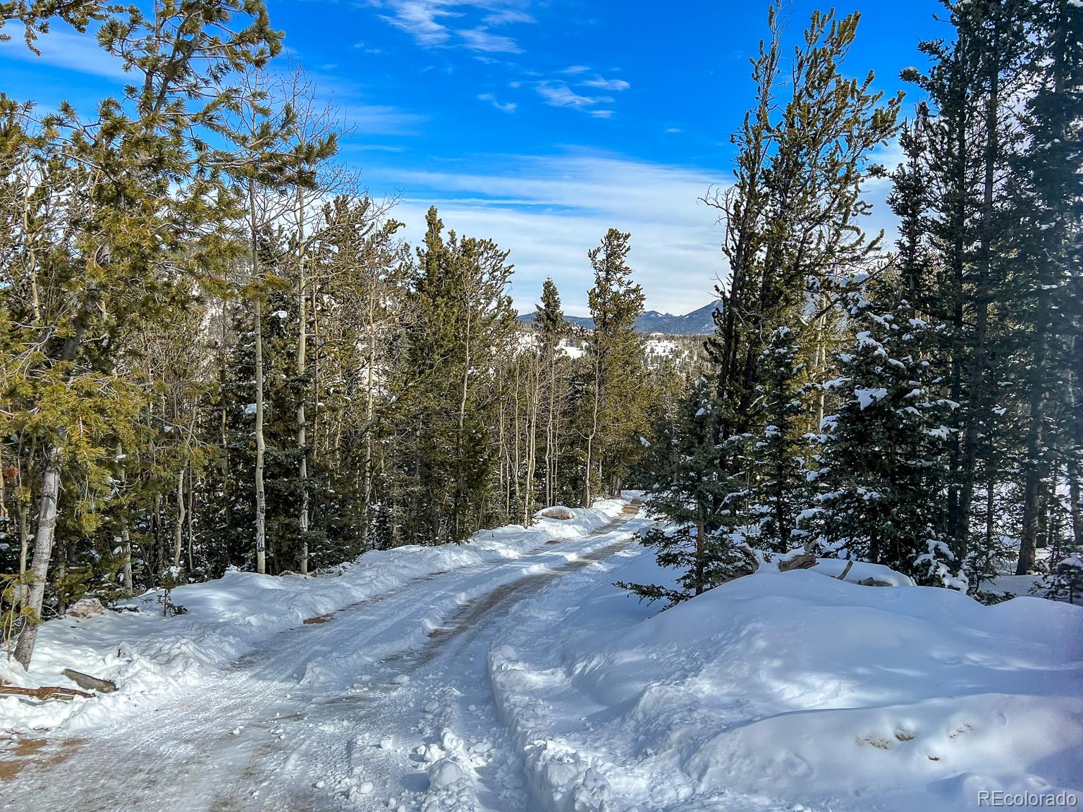 R0029767, Cripple Creek, CO 80813, ,Land,For Sale,R0029767,REC7609809