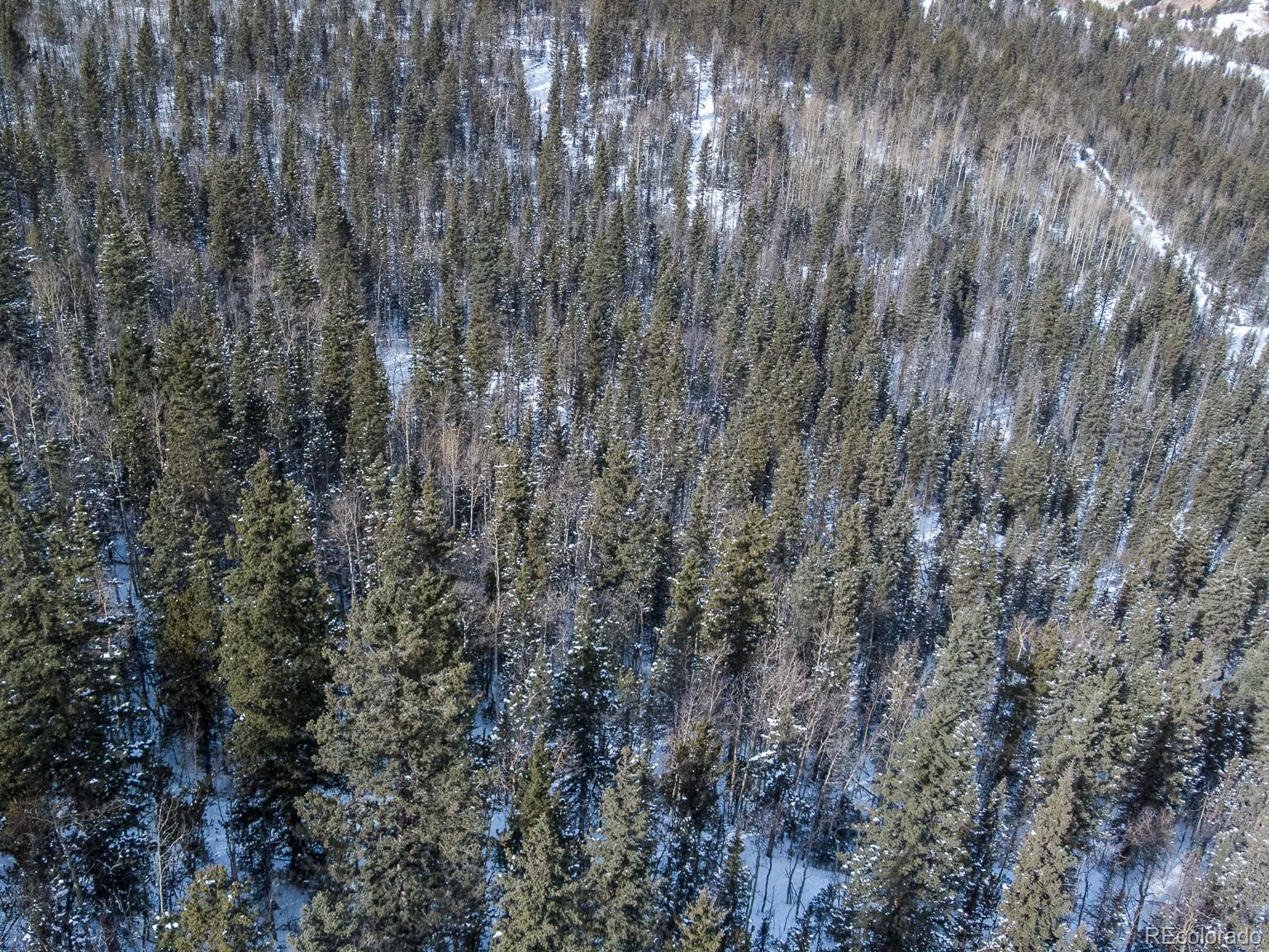 R0029767, Cripple Creek, CO 80813, ,Land,For Sale,R0029767,REC7609809