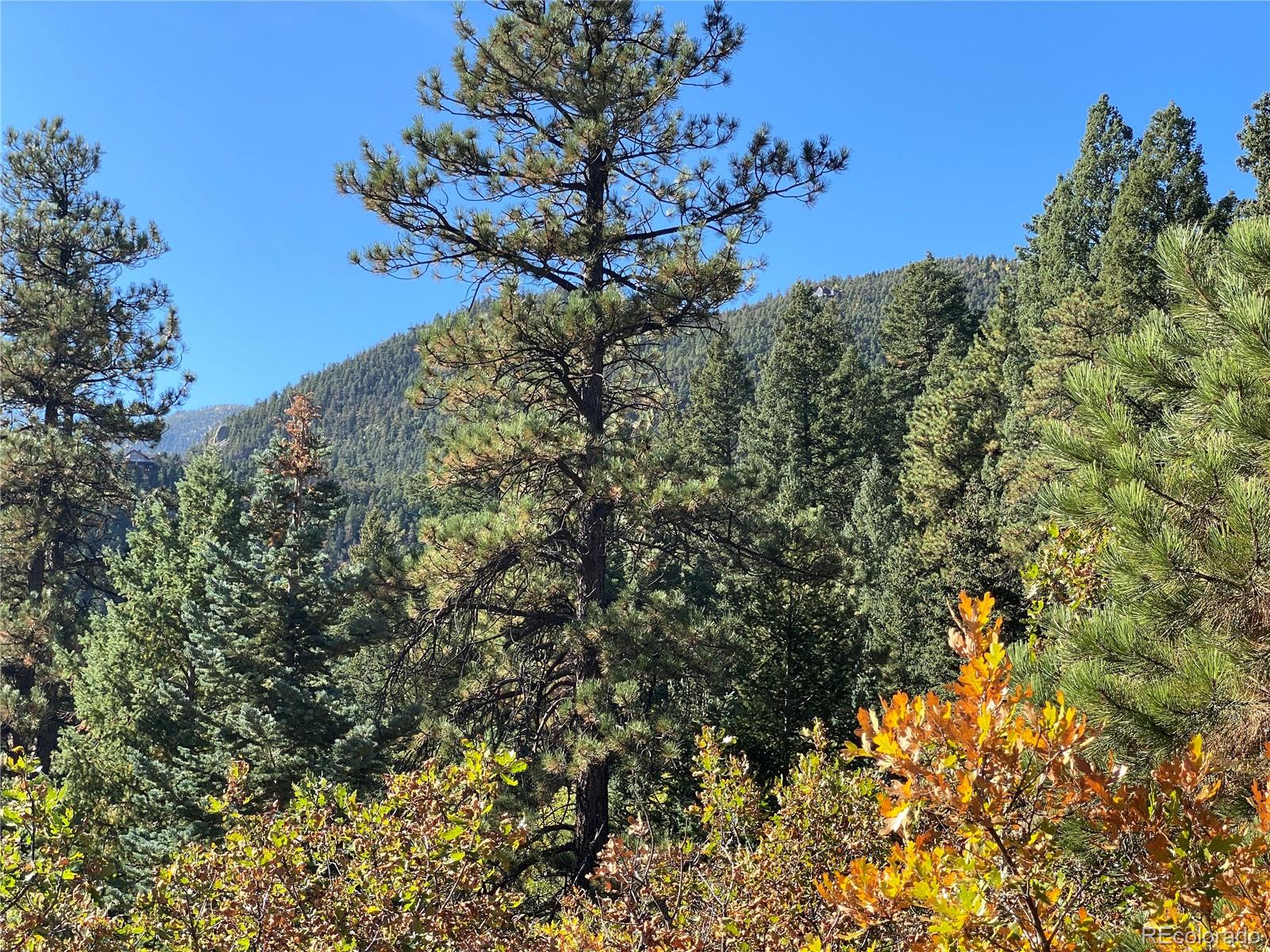 177 Upper Sun Valley Lane, Manitou Springs, CO 80829, ,Land,For Sale,Upper Sun Valley,REC7844379