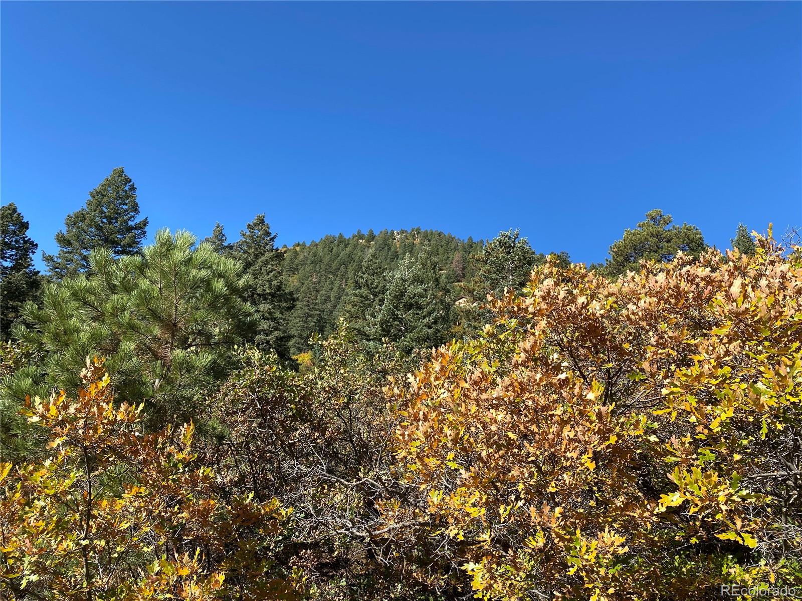 177 Upper Sun Valley Lane, Manitou Springs, CO 80829, ,Land,For Sale,Upper Sun Valley,REC7844379