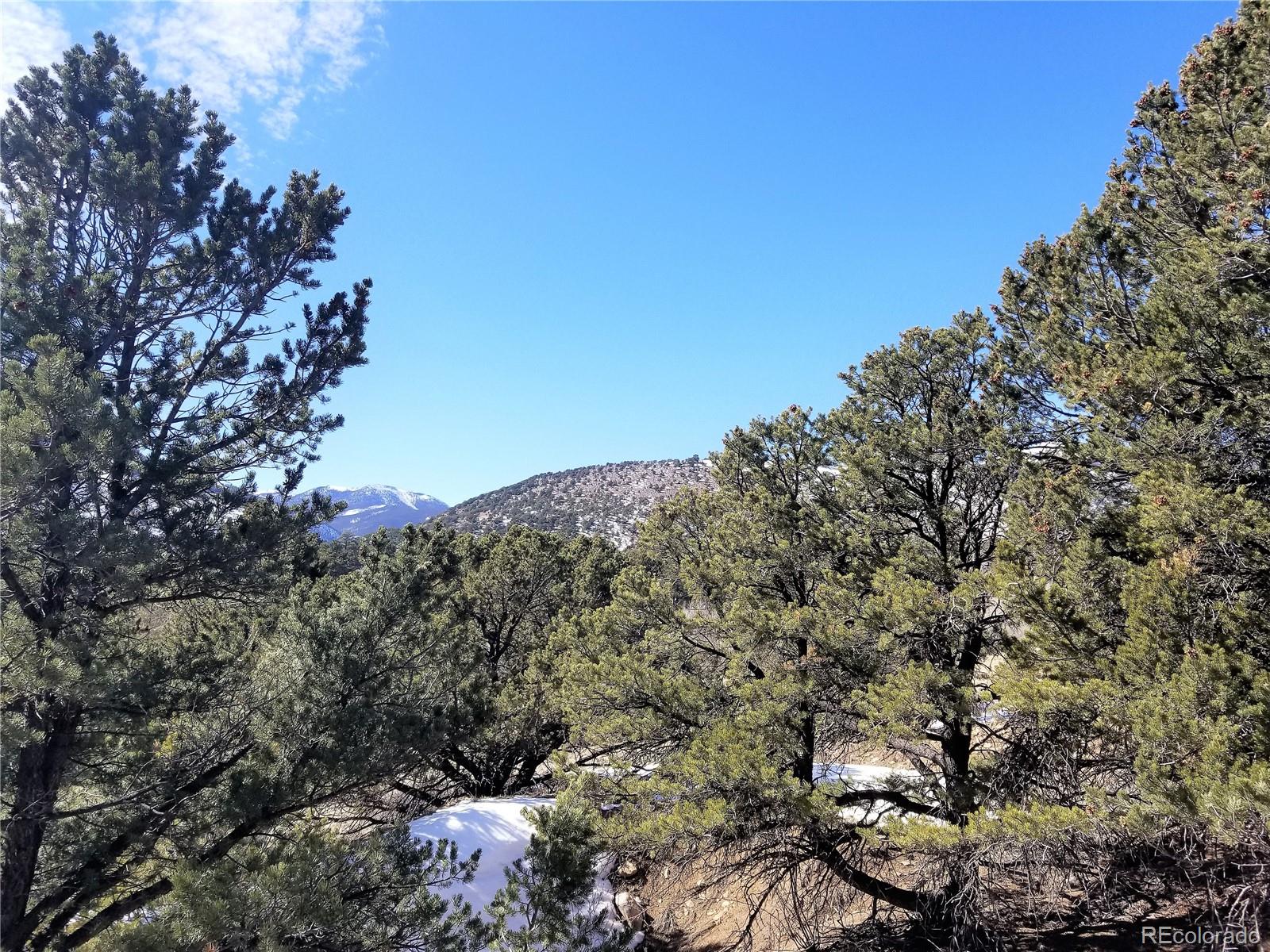 County Road 240, Maysville, CO 81201, ,Land,For Sale,County Road 240,REC5477190