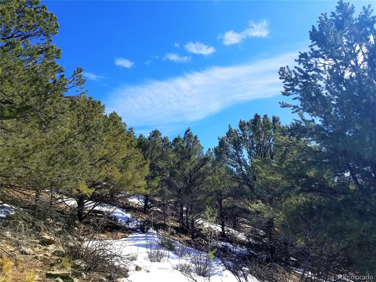 County Road 240, Maysville, CO 81201, ,Land,For Sale,County Road 240,REC5477190