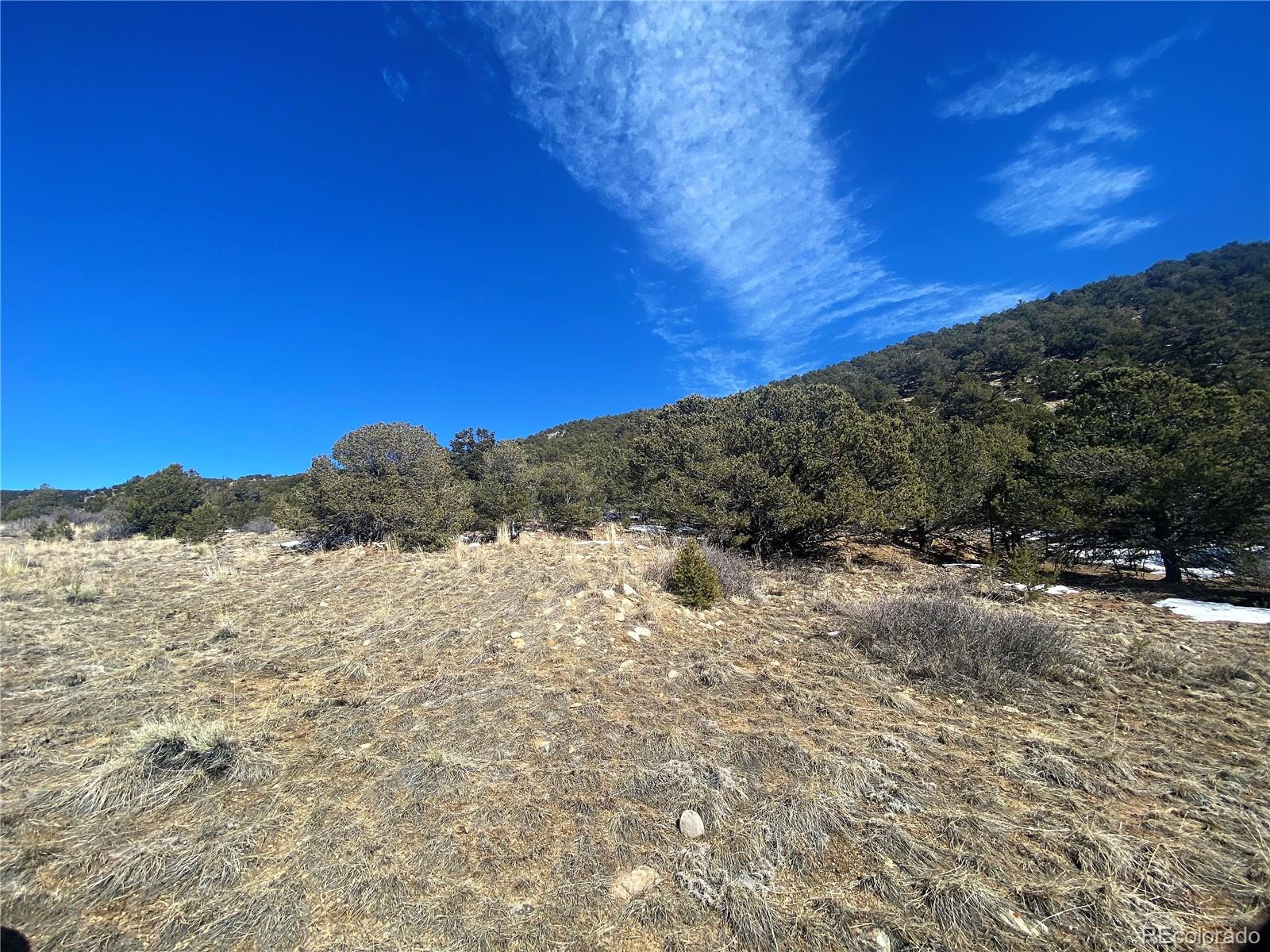 County Road 240, Maysville, CO 81201, ,Land,For Sale,County Road 240,REC5477190