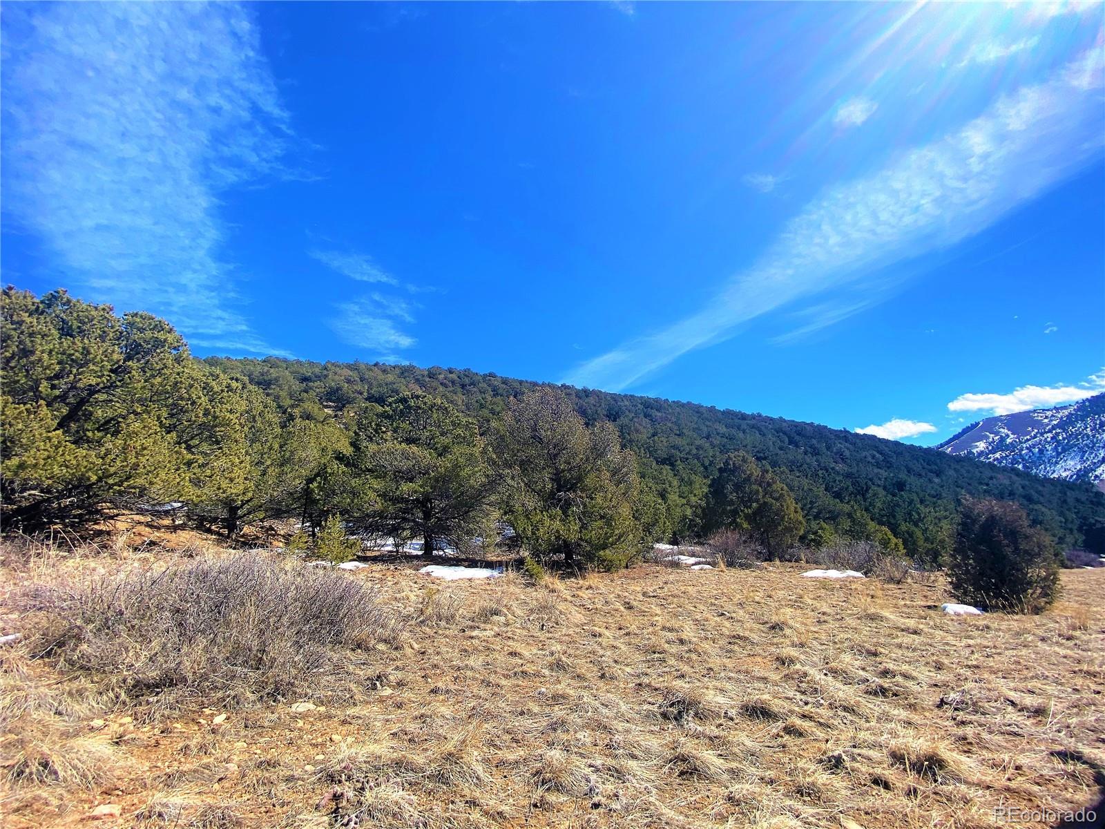 County Road 240, Maysville, CO 81201, ,Land,For Sale,County Road 240,REC5477190
