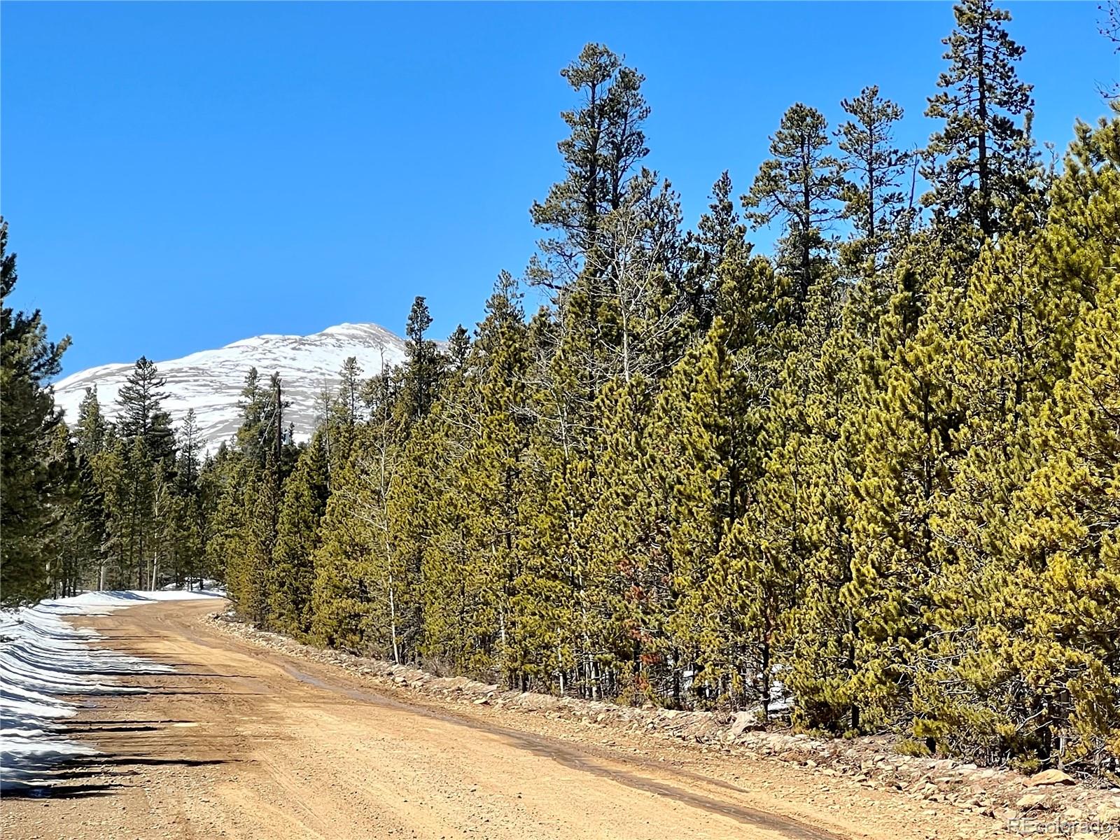 478 Circle 73, Fairplay, CO 80440, ,Land,For Sale,Circle 73,REC7801886