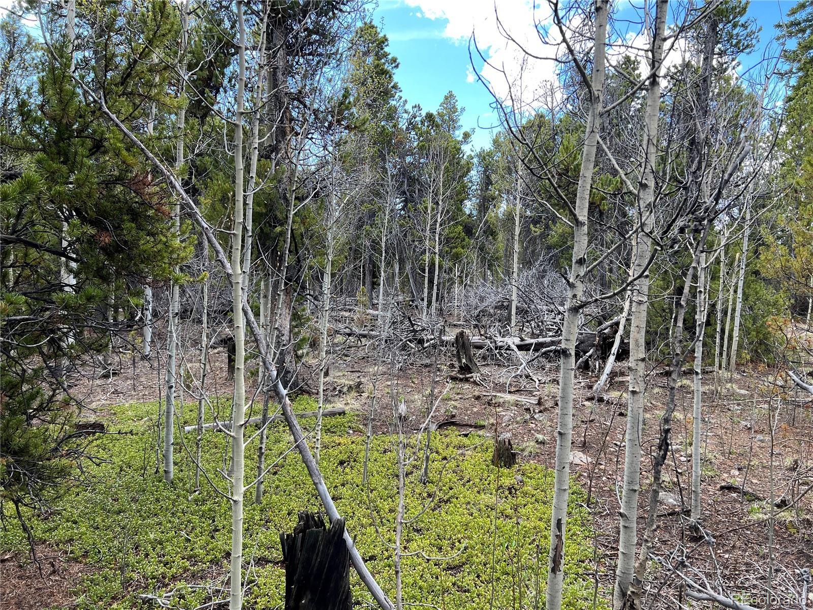 478 Circle 73, Fairplay, CO 80440, ,Land,For Sale,Circle 73,REC7801886