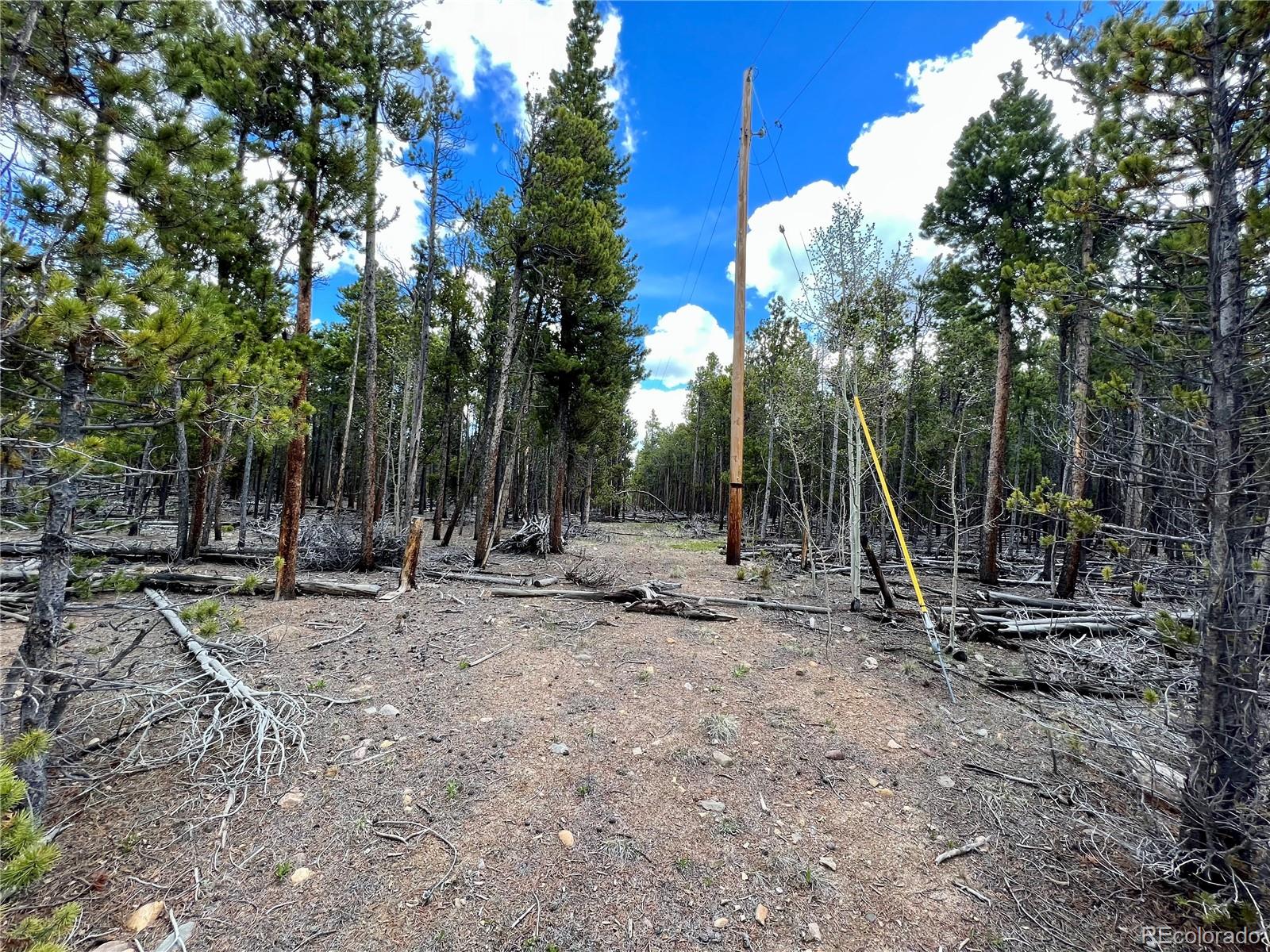 478 Circle 73, Fairplay, CO 80440, ,Land,For Sale,Circle 73,REC7801886