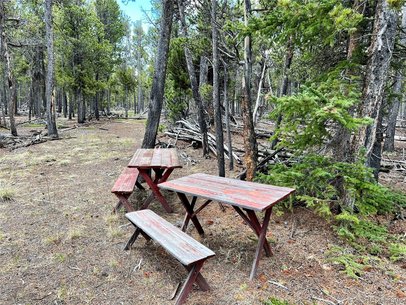 478 Circle 73, Fairplay, CO 80440, ,Land,For Sale,Circle 73,REC7801886