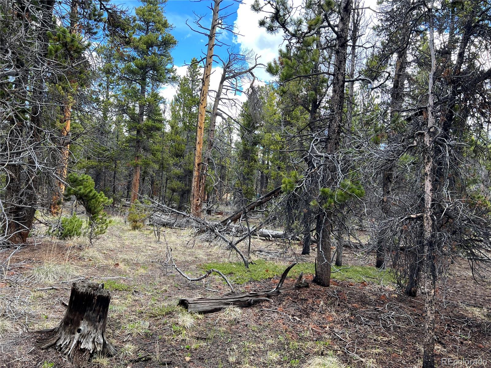 478 Circle 73, Fairplay, CO 80440, ,Land,For Sale,Circle 73,REC7801886