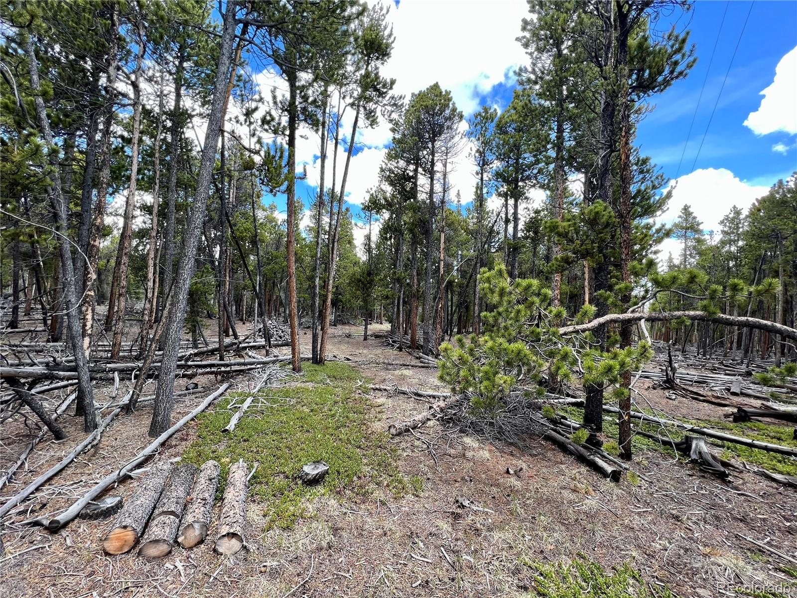 478 Circle 73, Fairplay, CO 80440, ,Land,For Sale,Circle 73,REC7801886