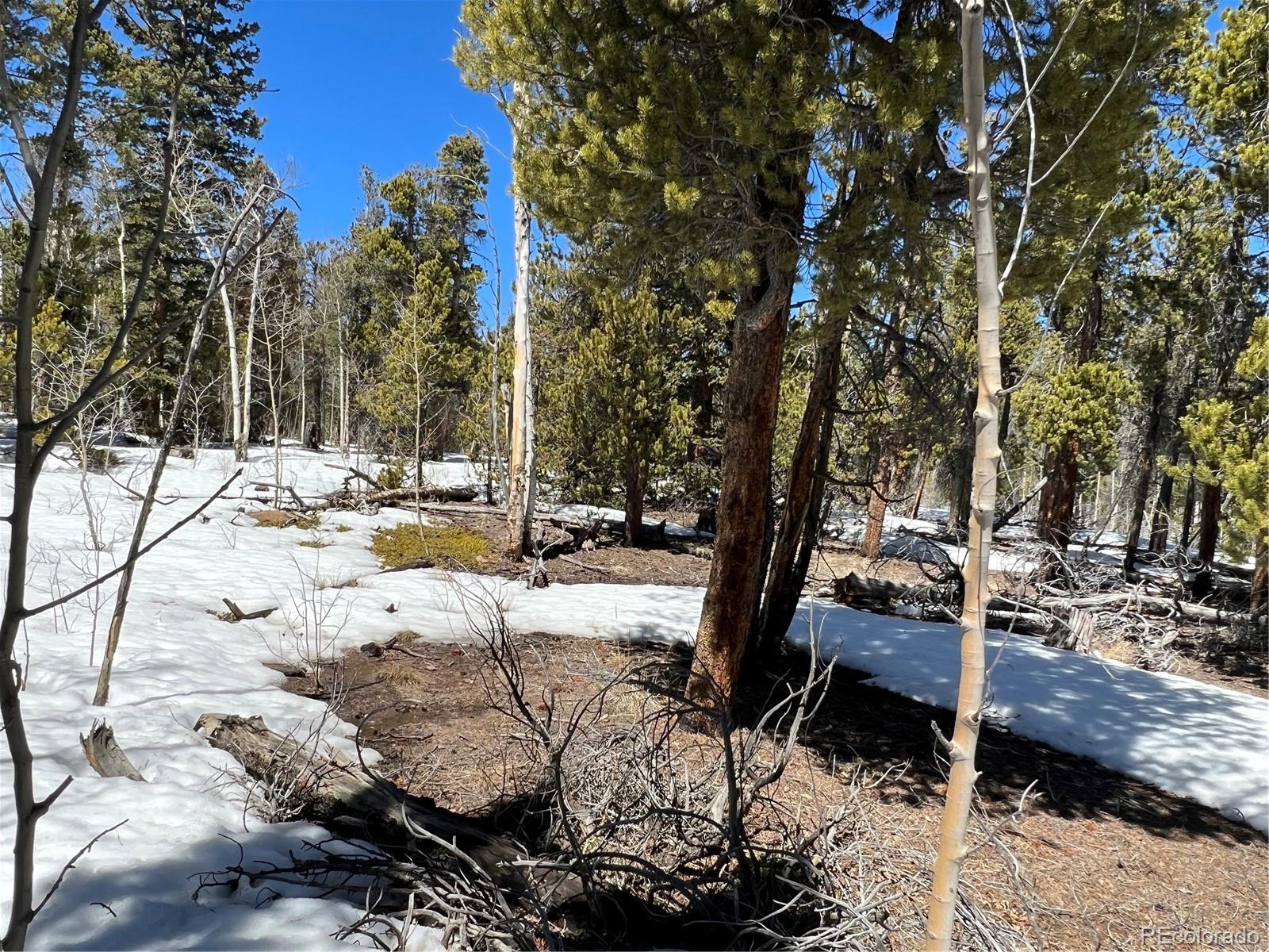 478 Circle 73, Fairplay, CO 80440, ,Land,For Sale,Circle 73,REC7801886