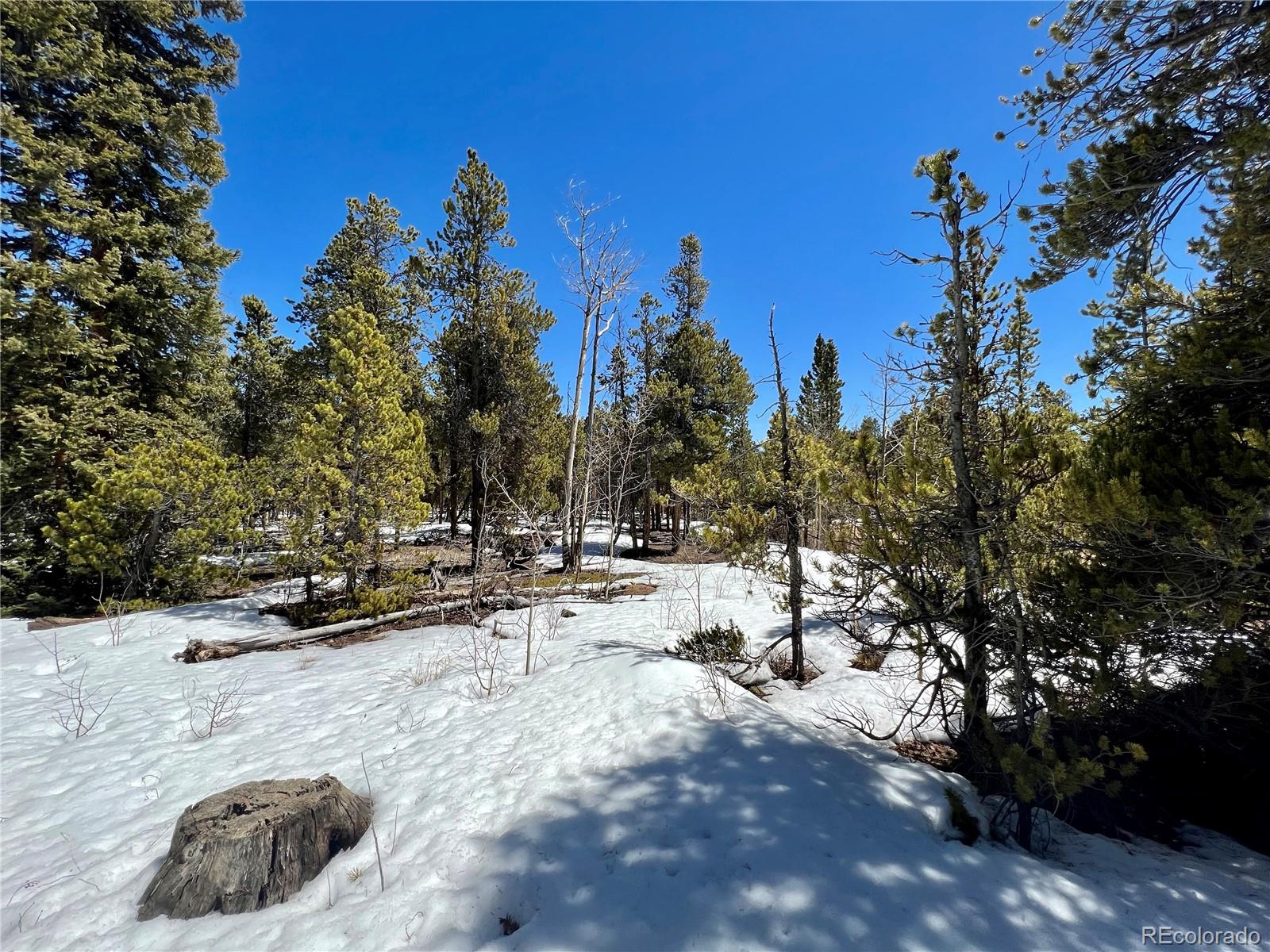 478 Circle 73, Fairplay, CO 80440, ,Land,For Sale,Circle 73,REC7801886