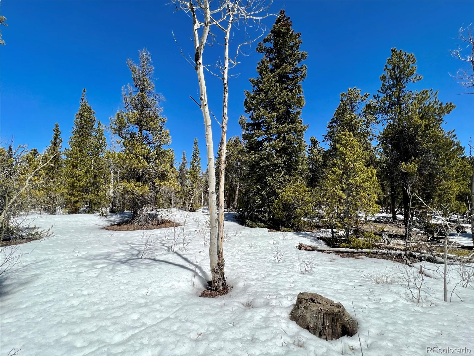 478 Circle 73, Fairplay, CO 80440, ,Land,For Sale,Circle 73,REC7801886