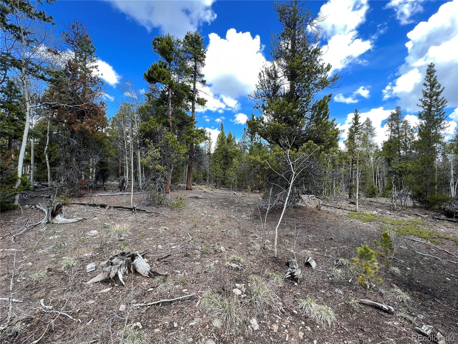 478 Circle 73, Fairplay, CO 80440, ,Land,For Sale,Circle 73,REC7801886