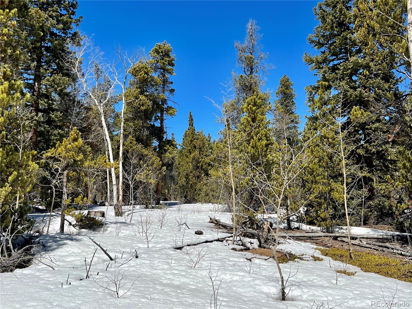 478 Circle 73, Fairplay, CO 80440, ,Land,For Sale,Circle 73,REC7801886