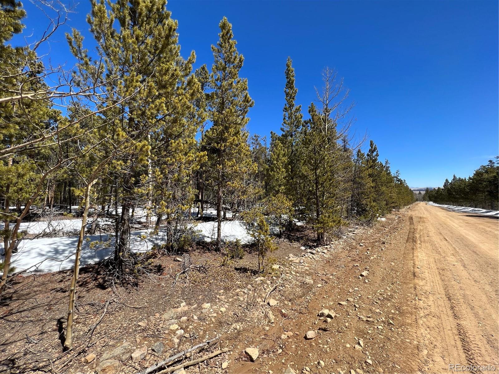 478 Circle 73, Fairplay, CO 80440, ,Land,For Sale,Circle 73,REC7801886