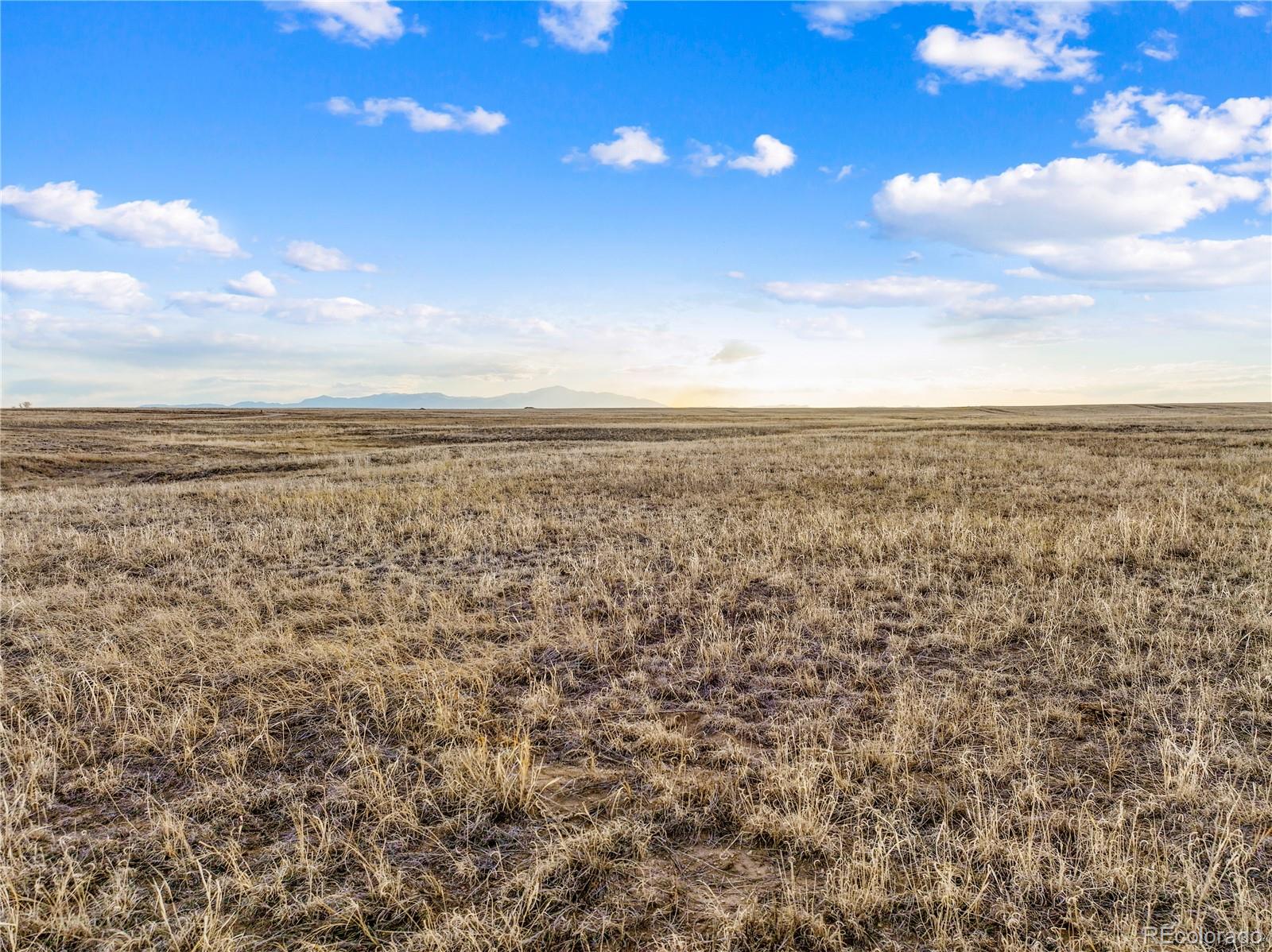 7950 N Peyton Highway, Peyton, CO 80831, ,Land,For Sale,Peyton,REC3829841