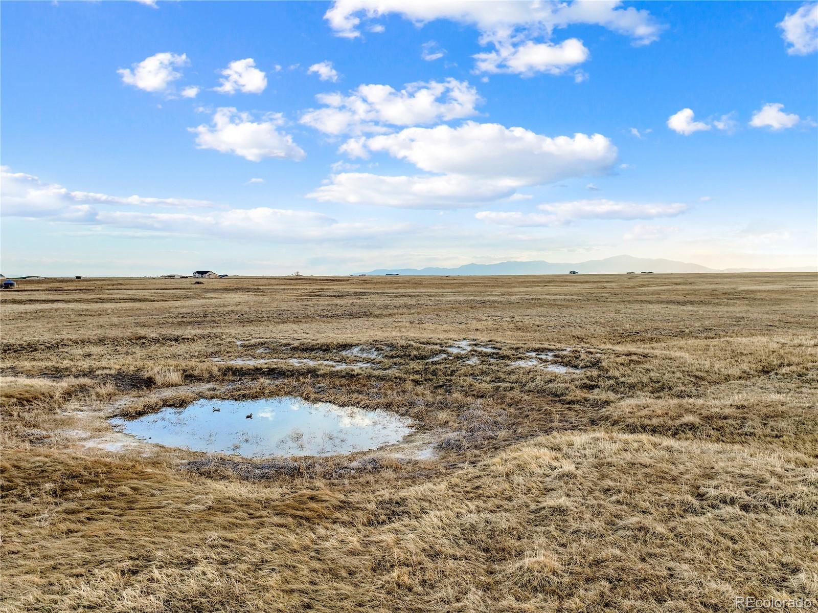 7950 N Peyton Highway, Peyton, CO 80831, ,Land,For Sale,Peyton,REC3829841