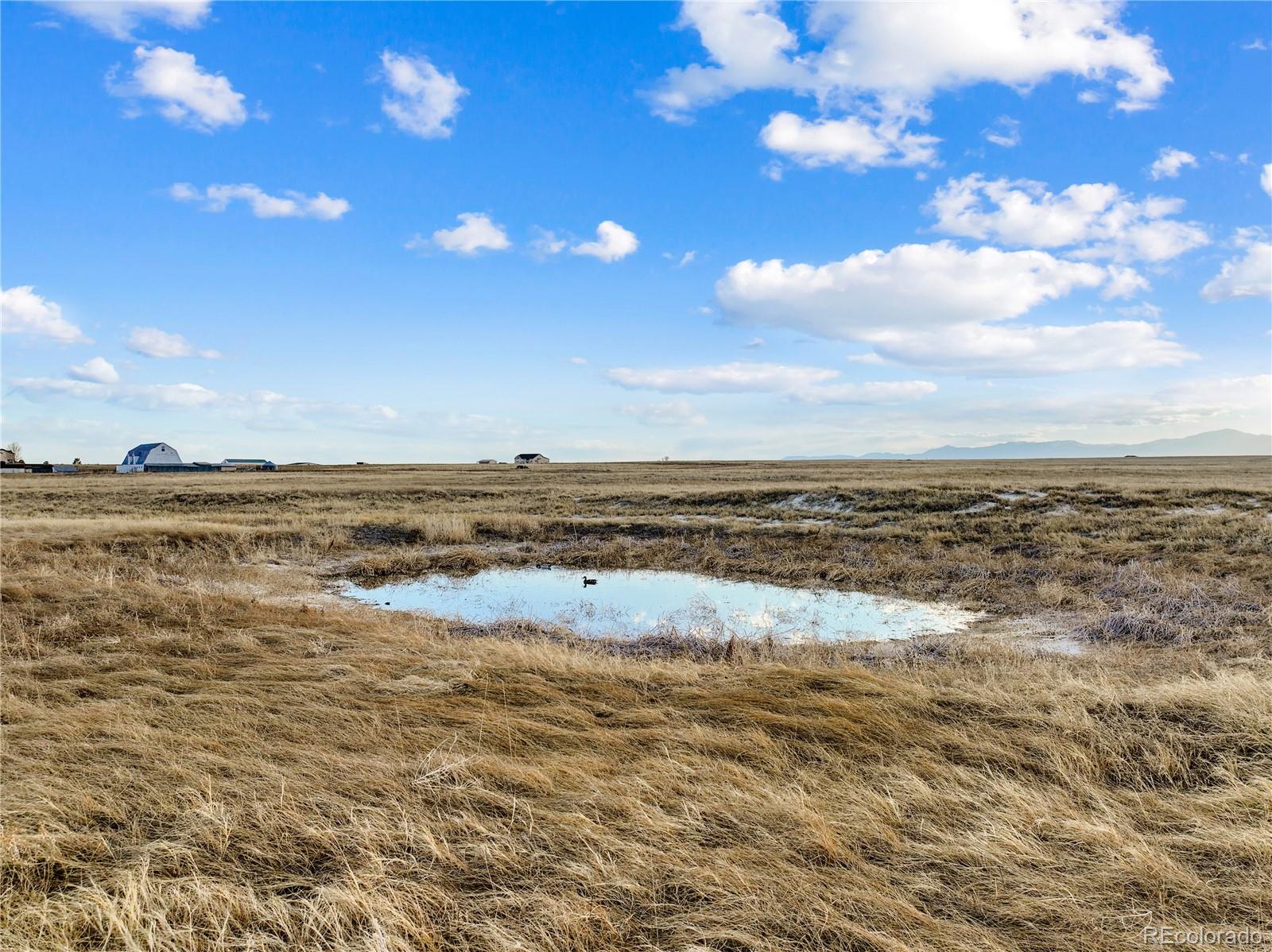 7950 N Peyton Highway, Peyton, CO 80831, ,Land,For Sale,Peyton,REC3829841