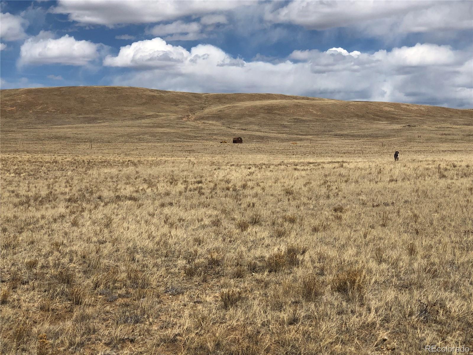 0 Antero Trail, Hartsel, CO 80449, ,Land,For Sale,Antero,REC9217770